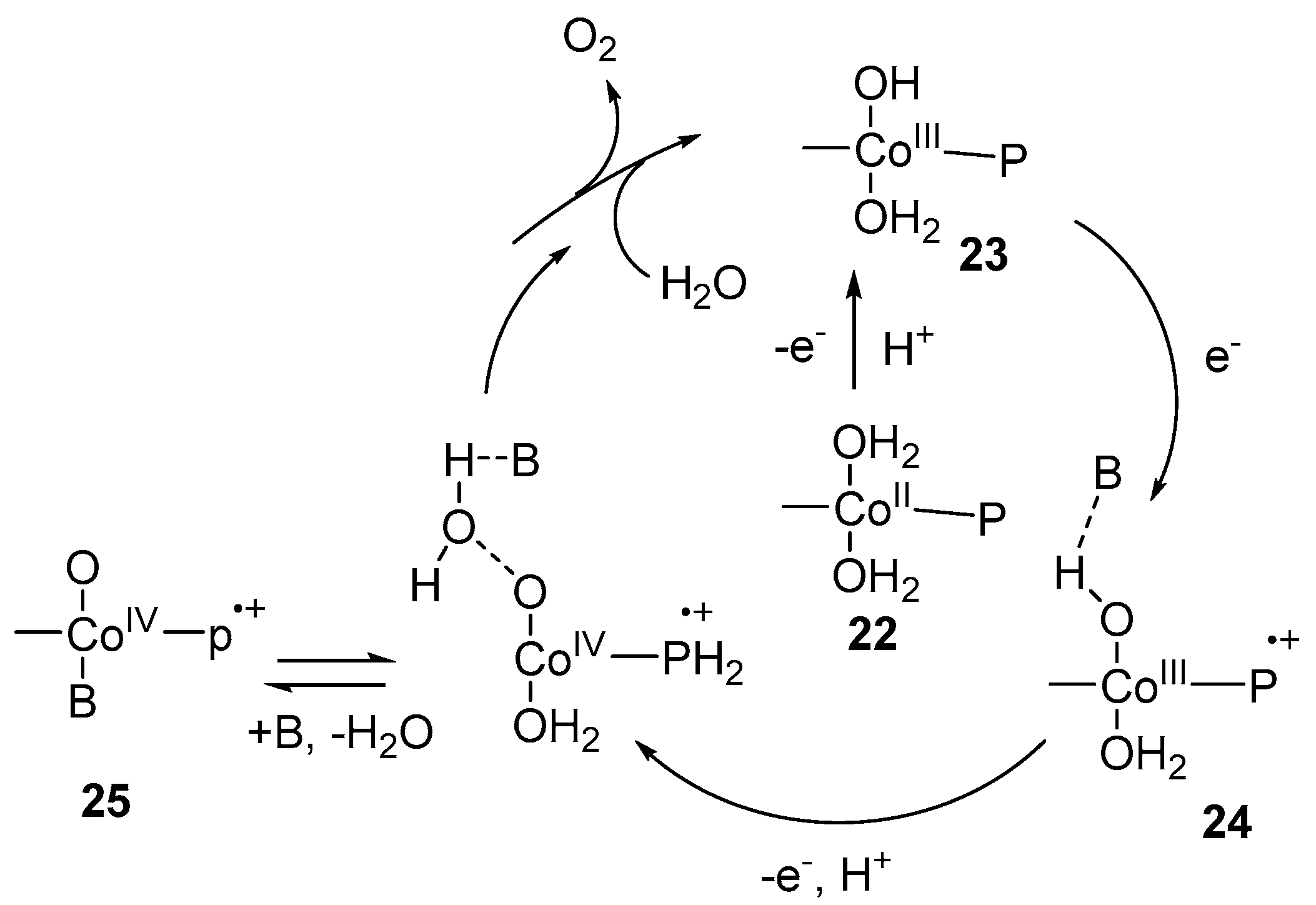 Molecules 24 00078 sch005