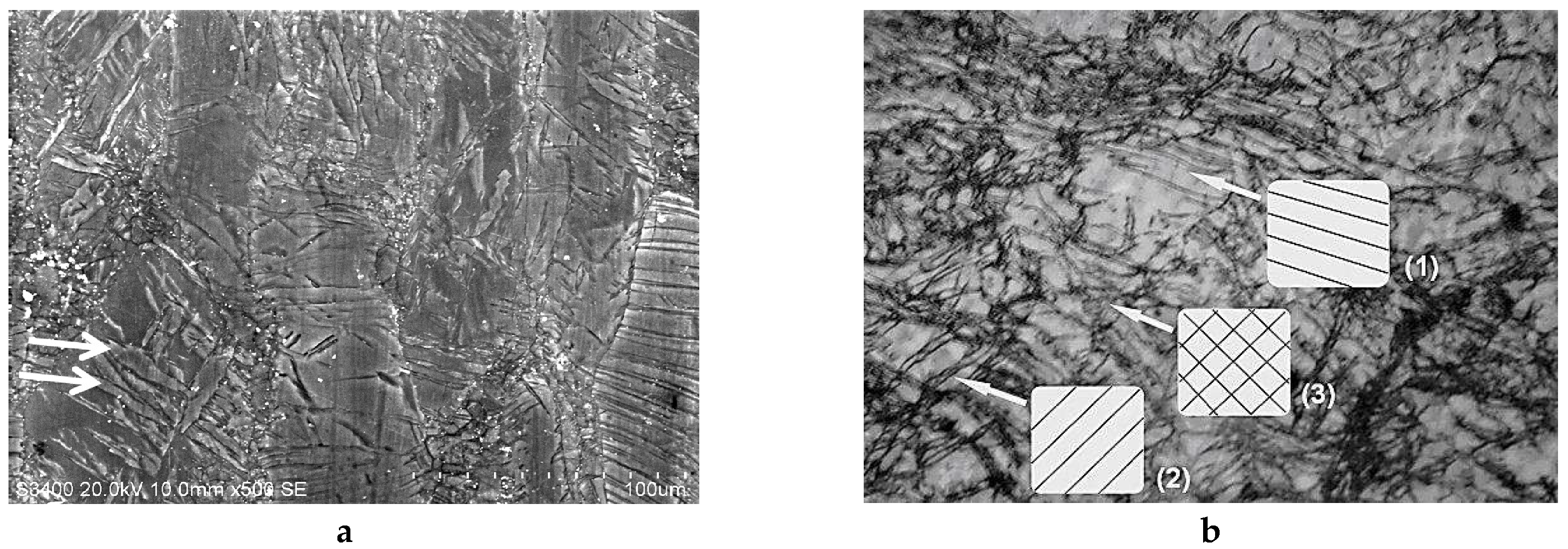 Molecules 24 00089 g014