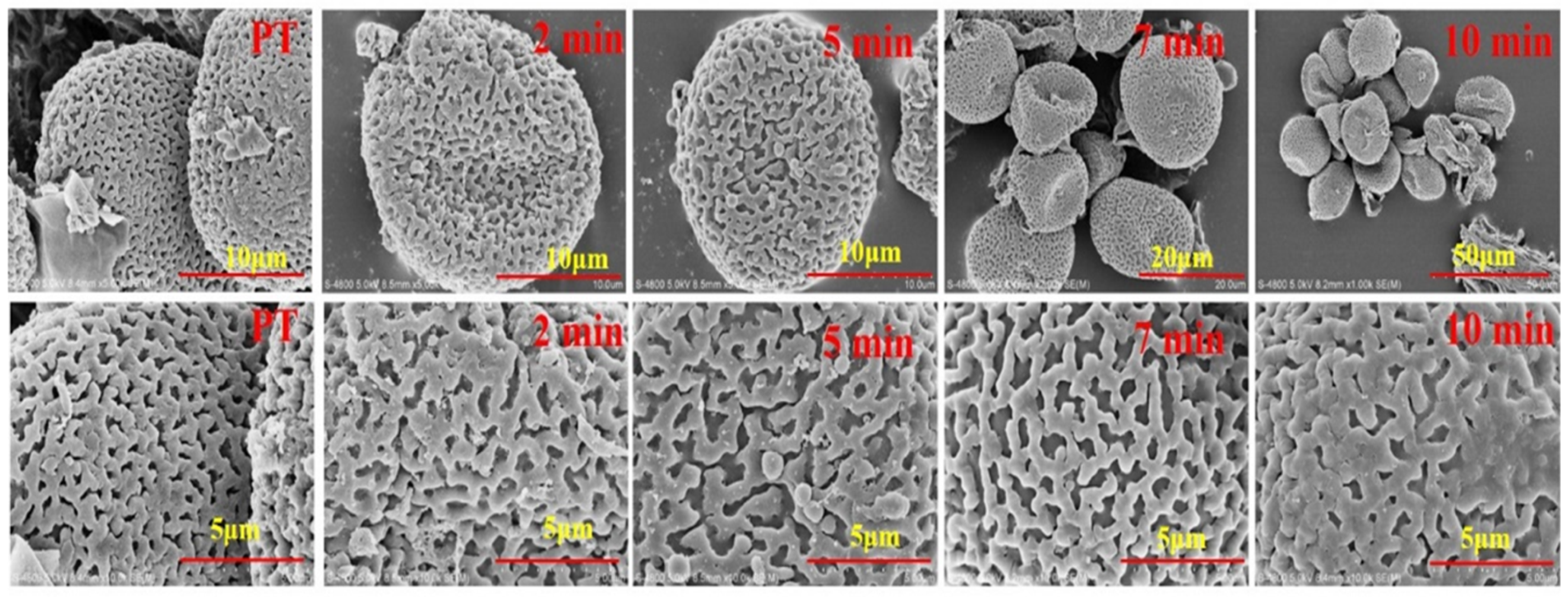 Molecules 24 00128 g001 Molecules 24 00128 g001