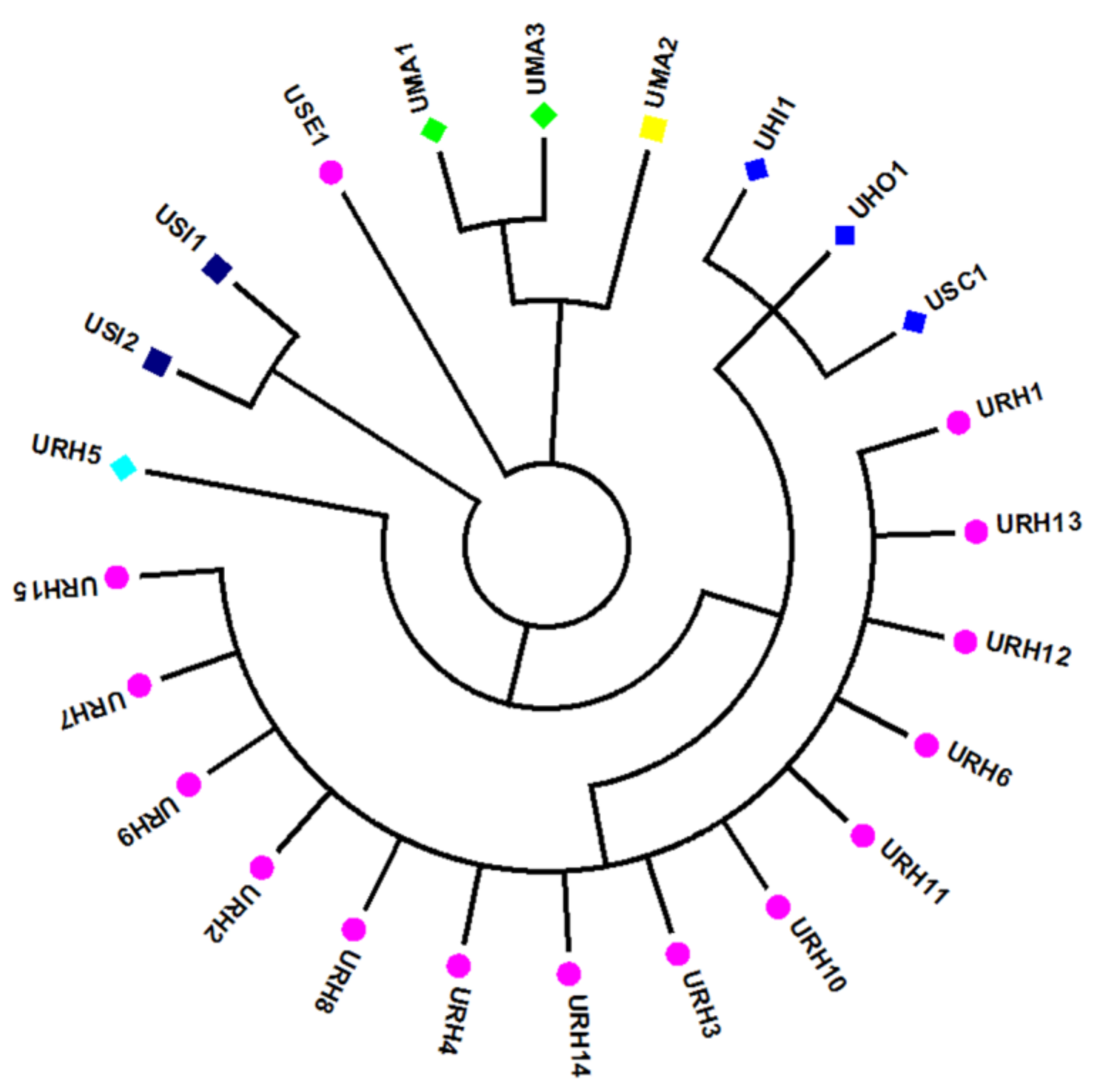 Molecules 24 00175 g001 Molecules 24 00175 g001