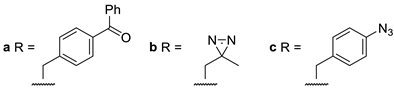 Molecules 24 00206 i005 Molecules 24 00206 i005