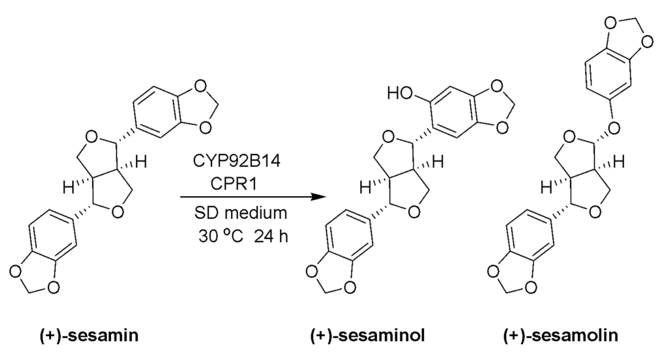 Molecules 24 00300 sch047 Molecules 24 00300 sch047