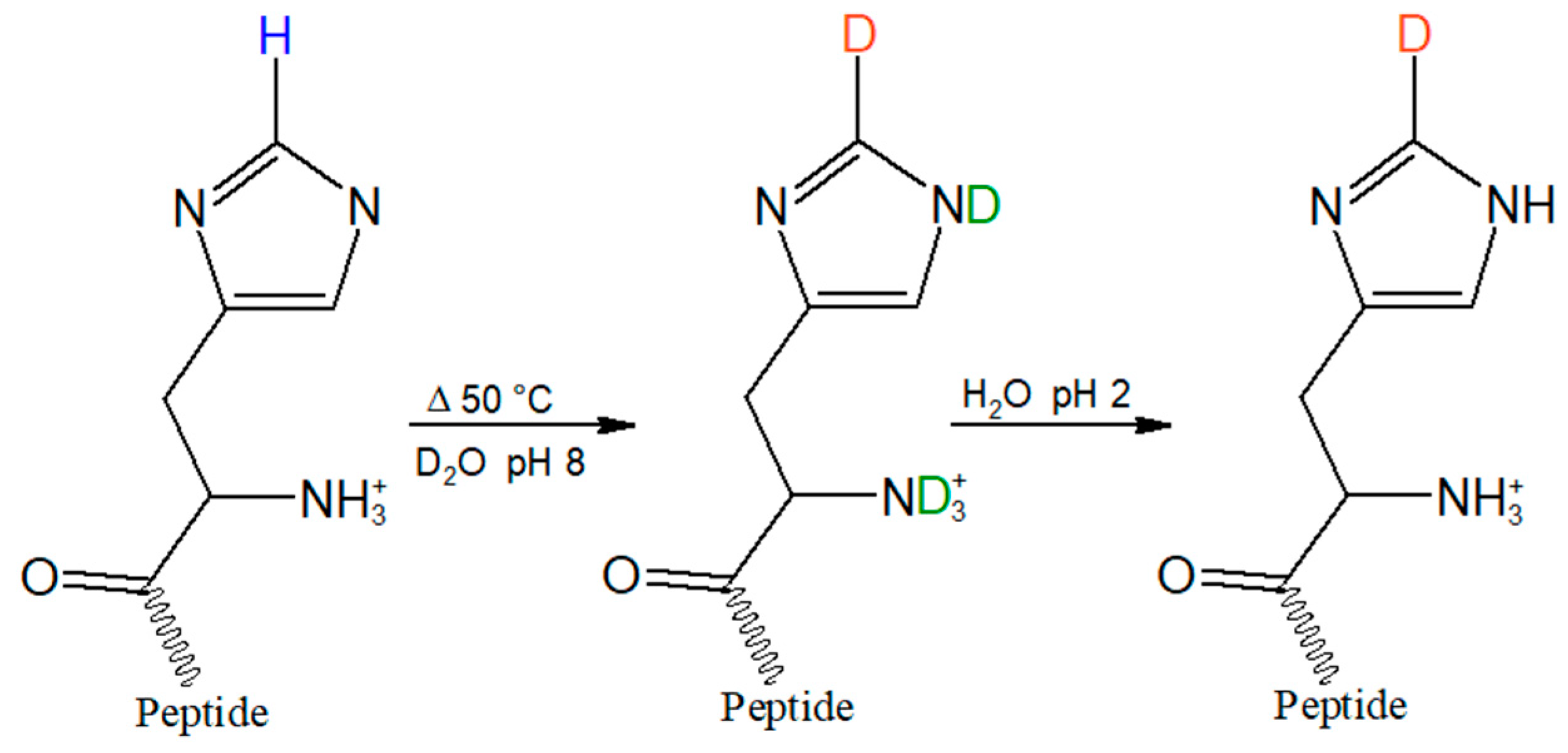 Molecules | Free Full-Text | pKa Determination of a Histidine Residue in a  Short Peptide Using Raman Spectroscopy | HTML