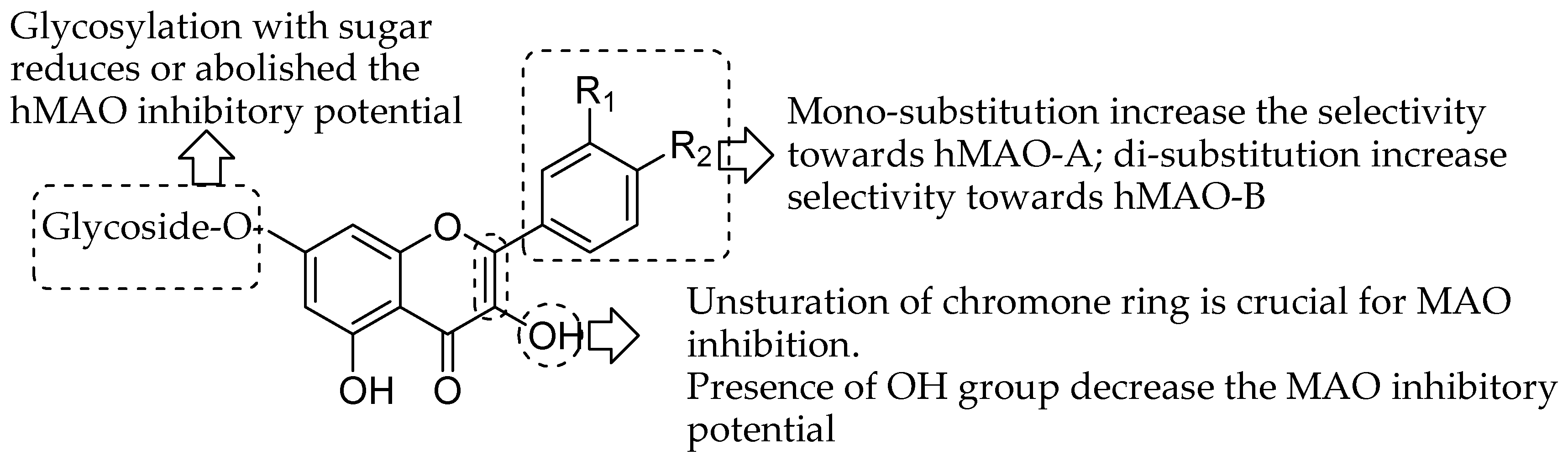 Molecules Free Full Text Quercetin And Related Chromenone Derivatives As Monoamine Oxidase Inhibitors Targeting Neurological And Mental Disorders Html