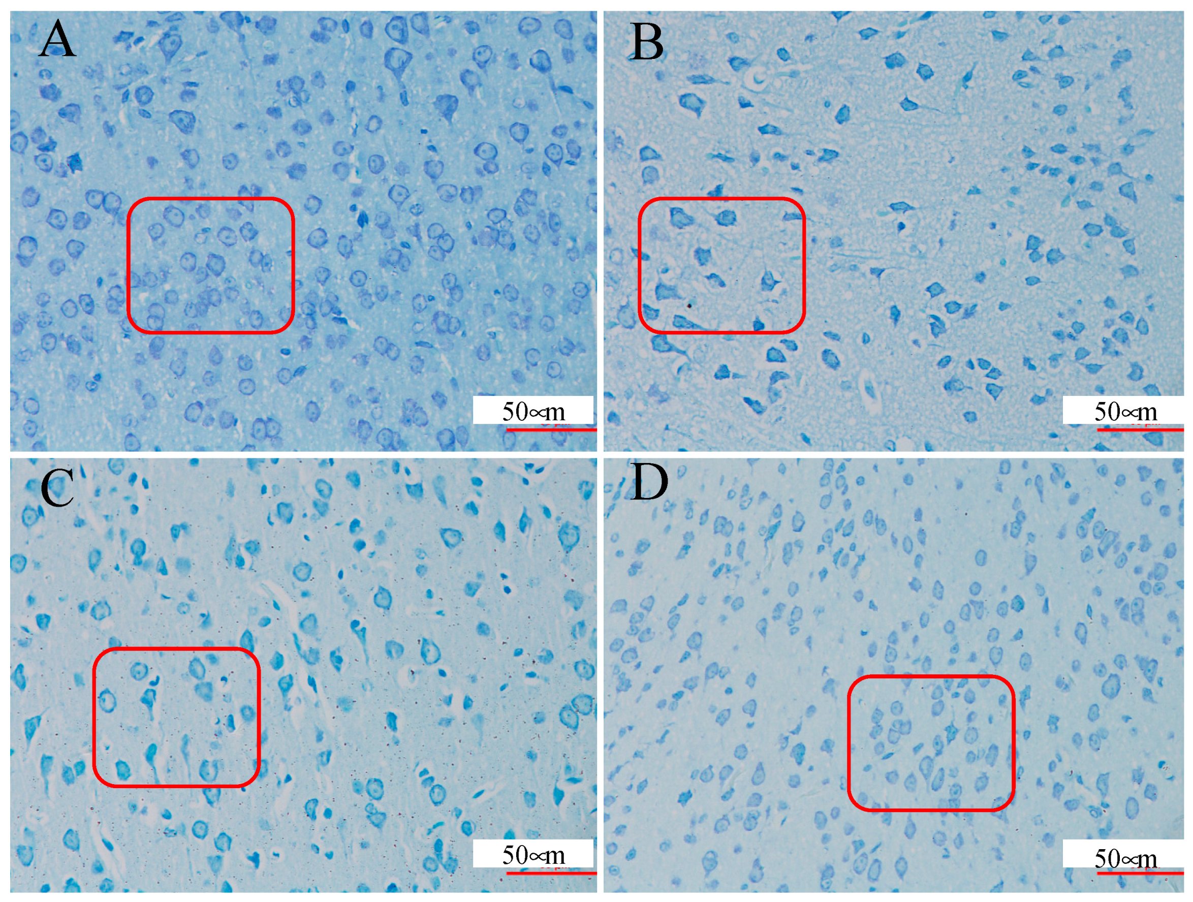 Molecules 24 00460 g002
