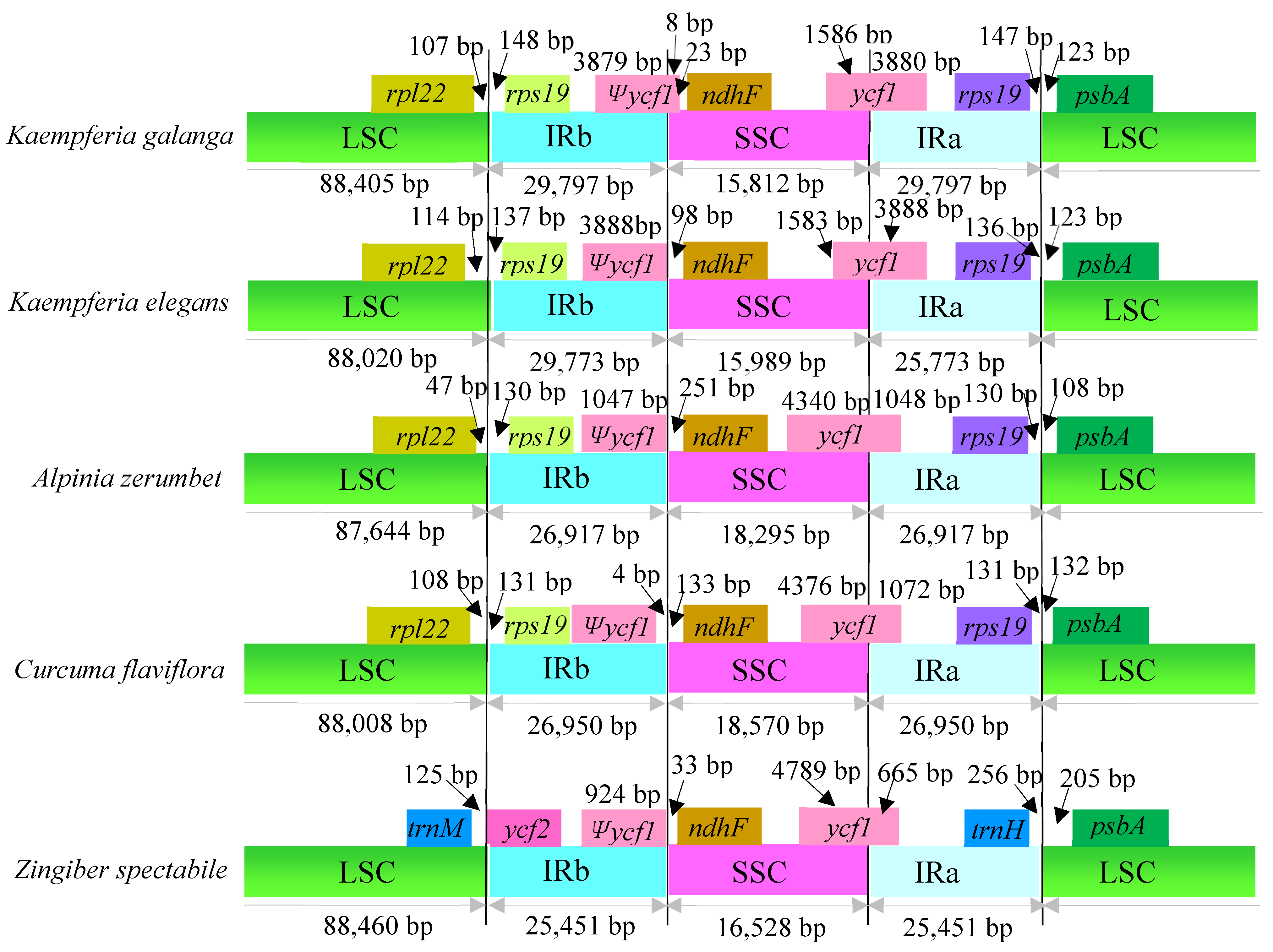 Molecules 24 00474 g005 Molecules 24 00474 g005