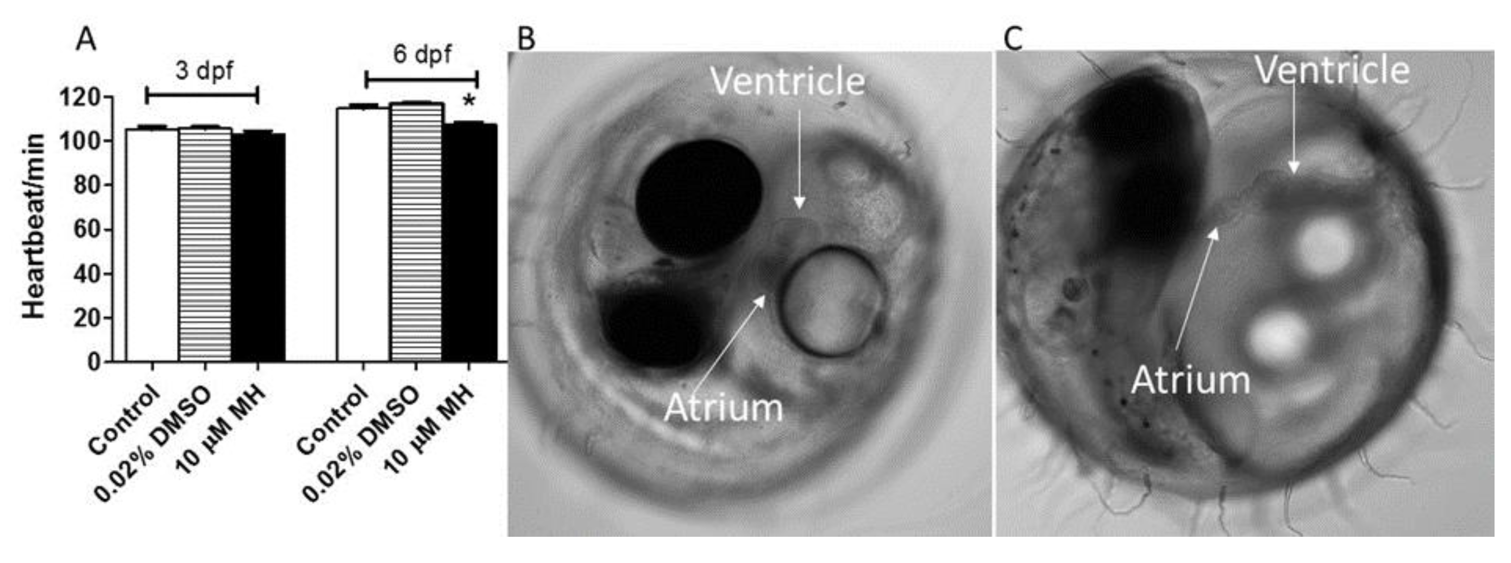 Molecules 24 00475 g004 Molecules 24 00475 g004