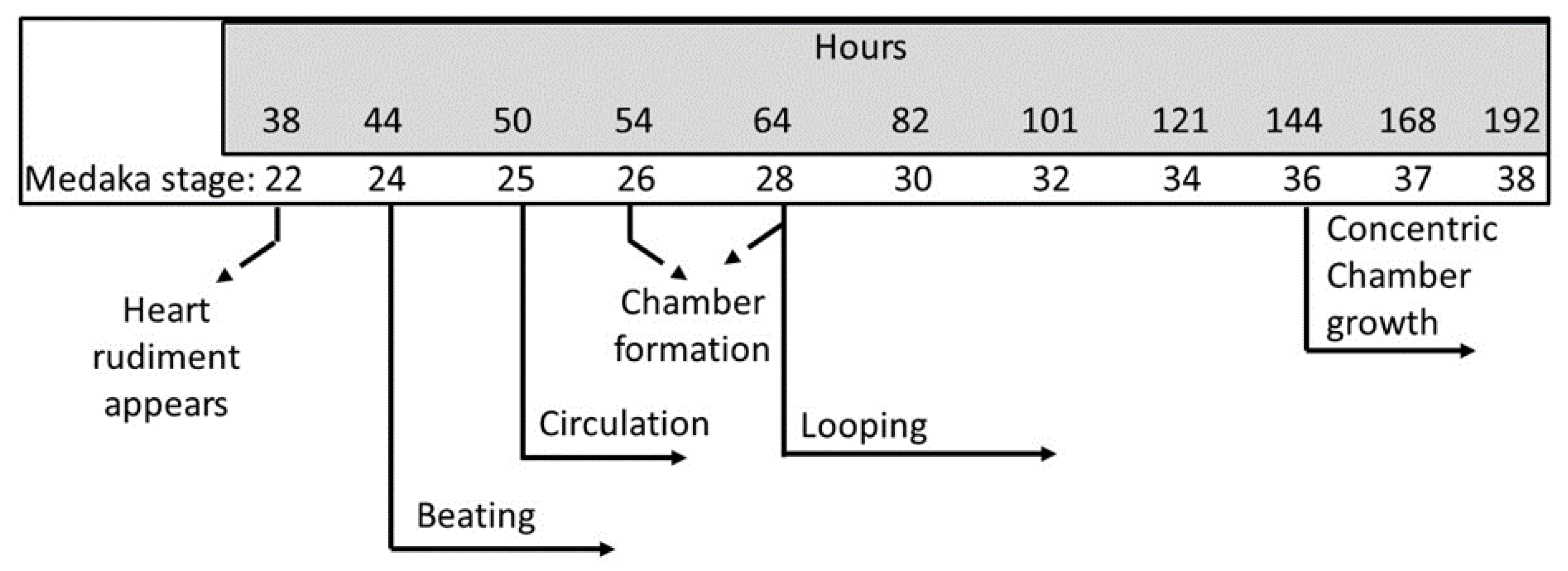 Molecules 24 00475 g010 Molecules 24 00475 g010