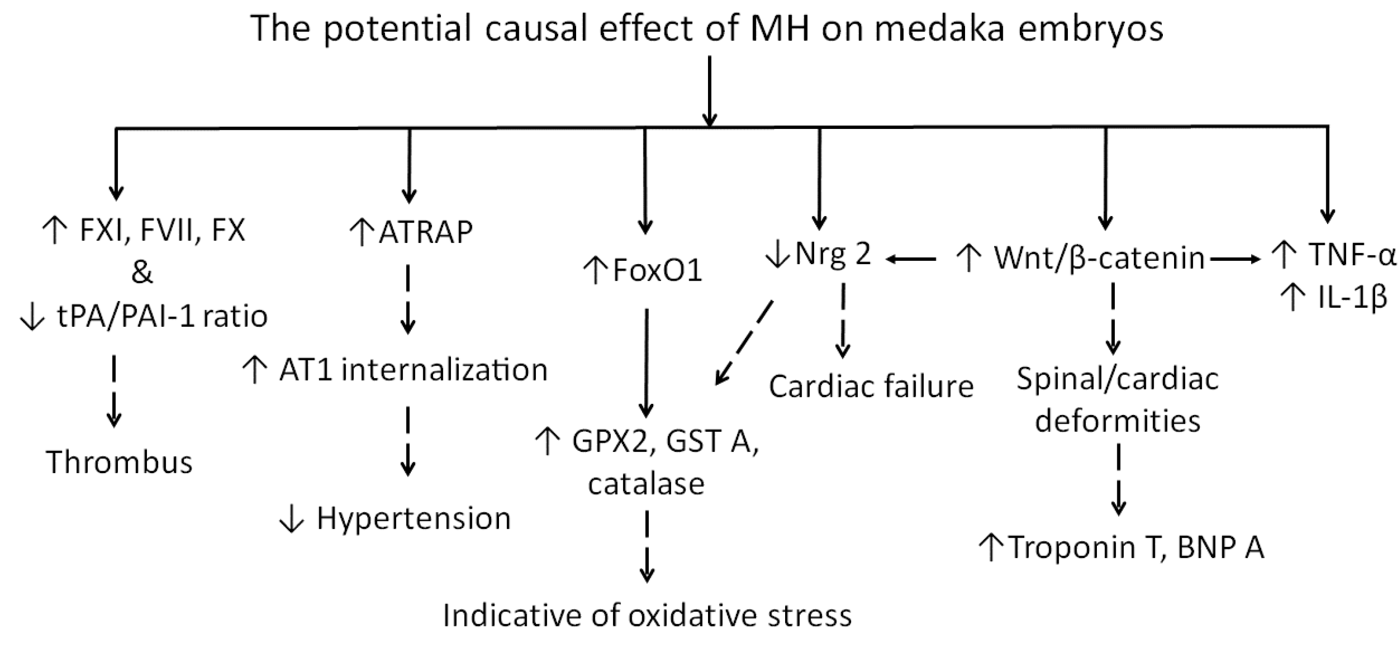 Molecules 24 00475 g011 Molecules 24 00475 g011
