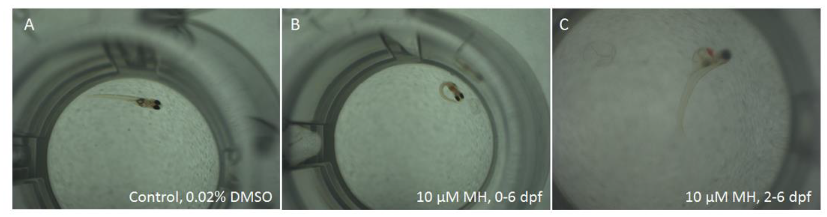 Molecules 24 00475 g0a1 Molecules 24 00475 g0a1