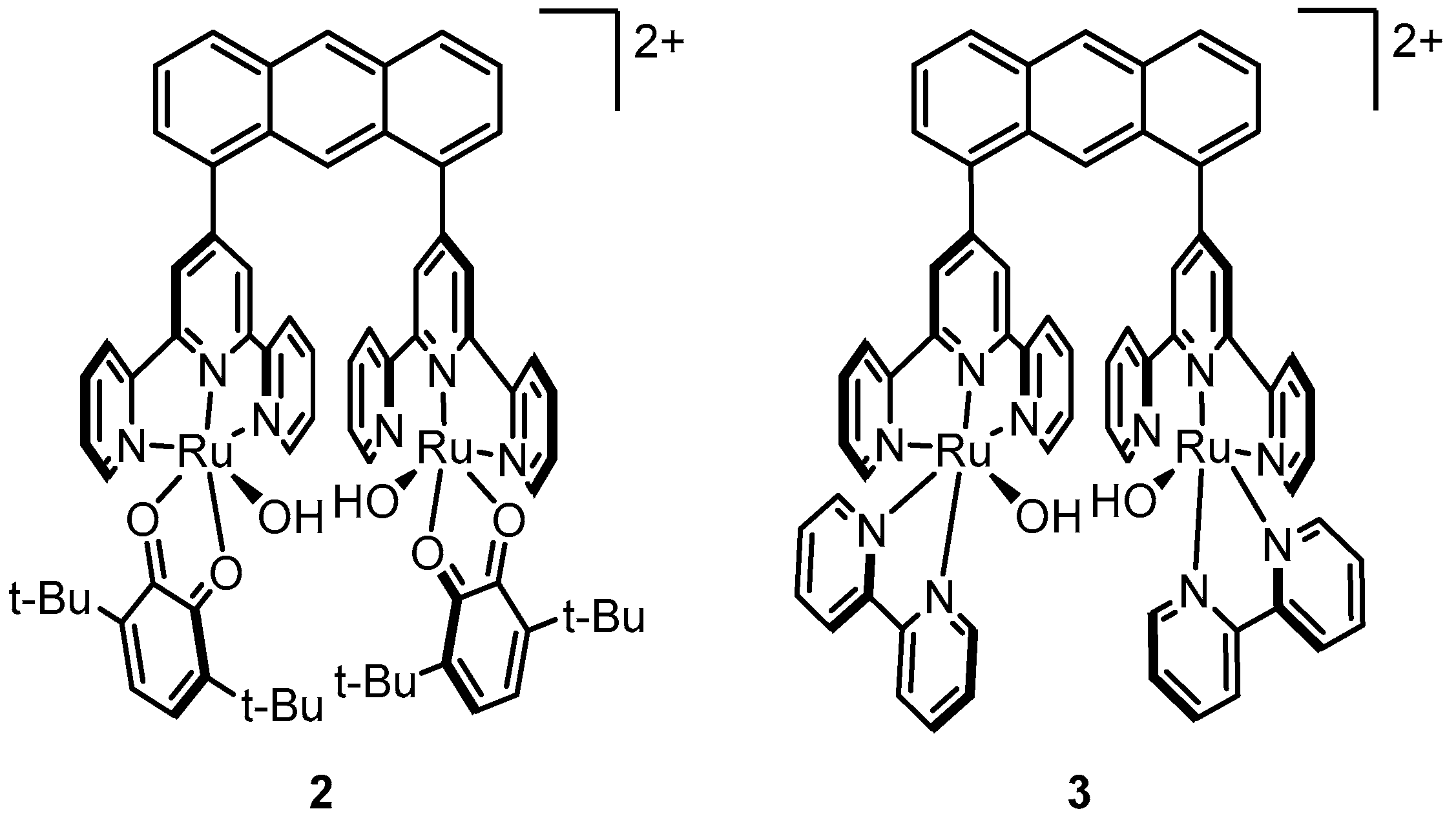 Molecules 24 00494 g004