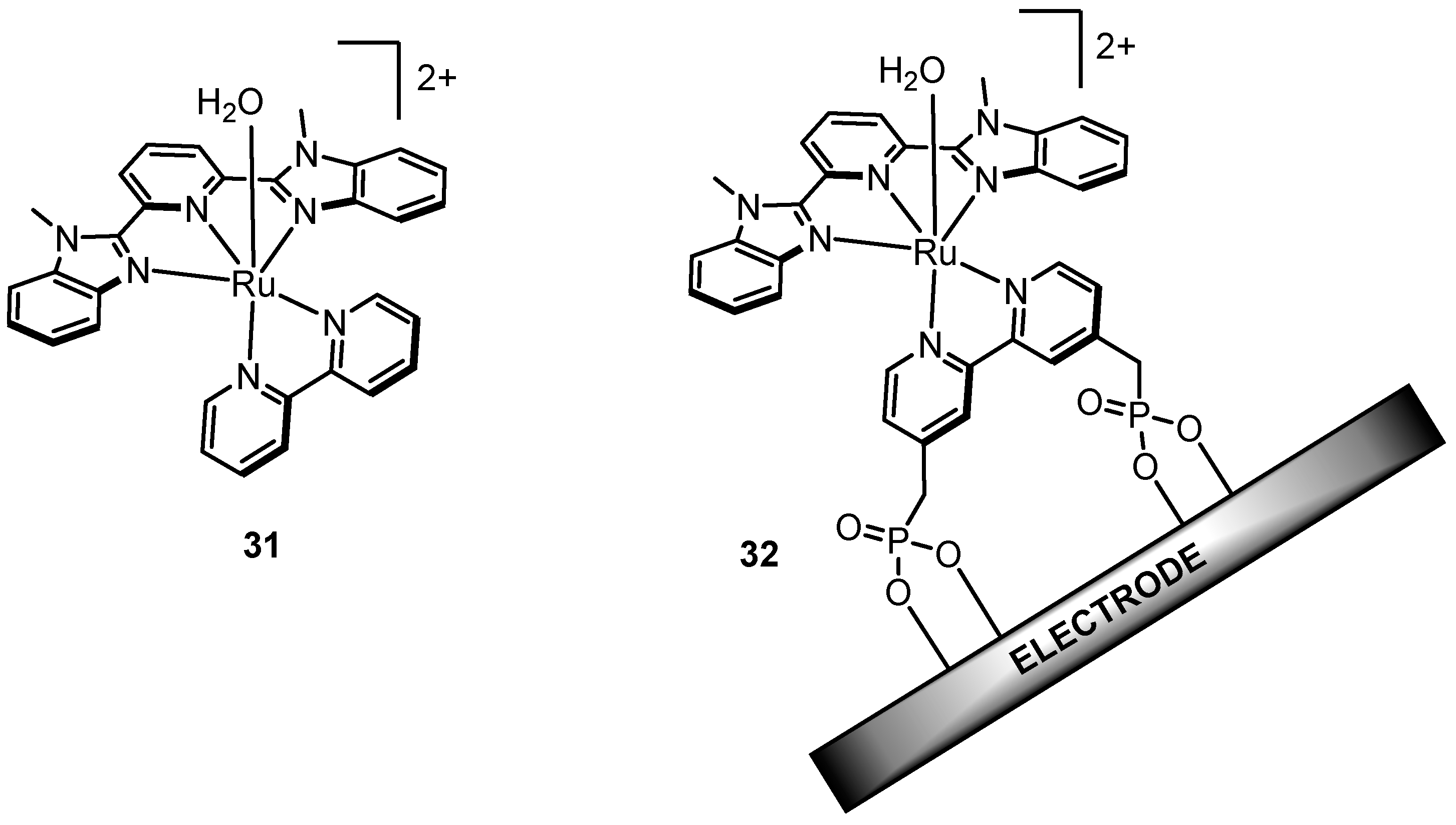 Molecules 24 00494 g016