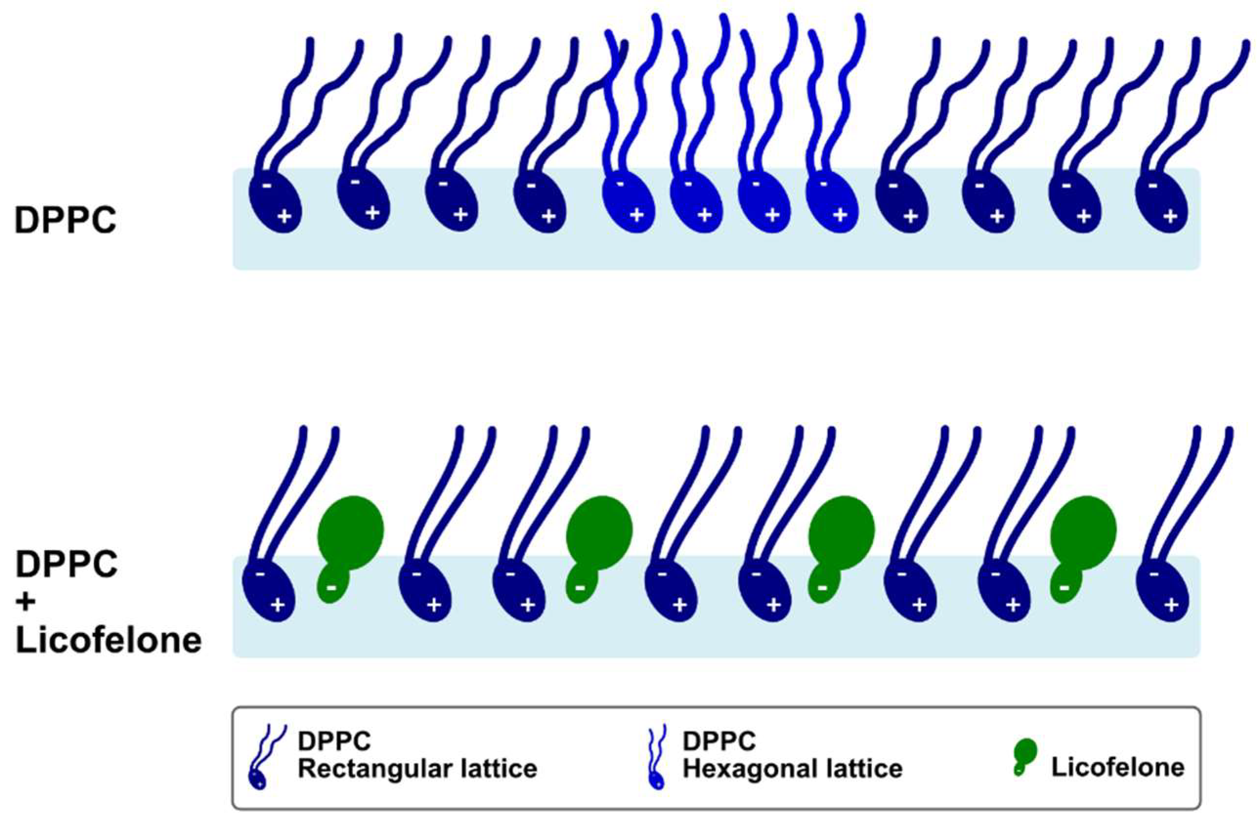 Molecules 24 00516 g006 Molecules 24 00516 g006