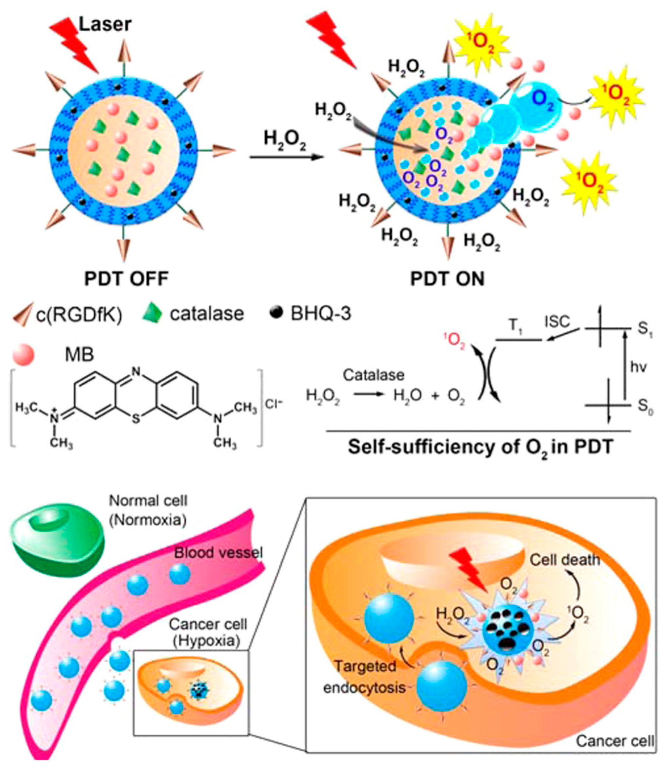 phd photodynamic therapy thesis