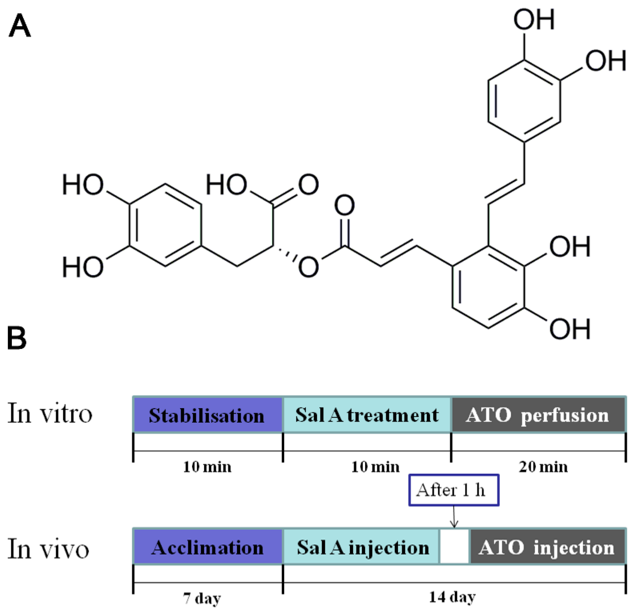 Molecules 24 00543 g001