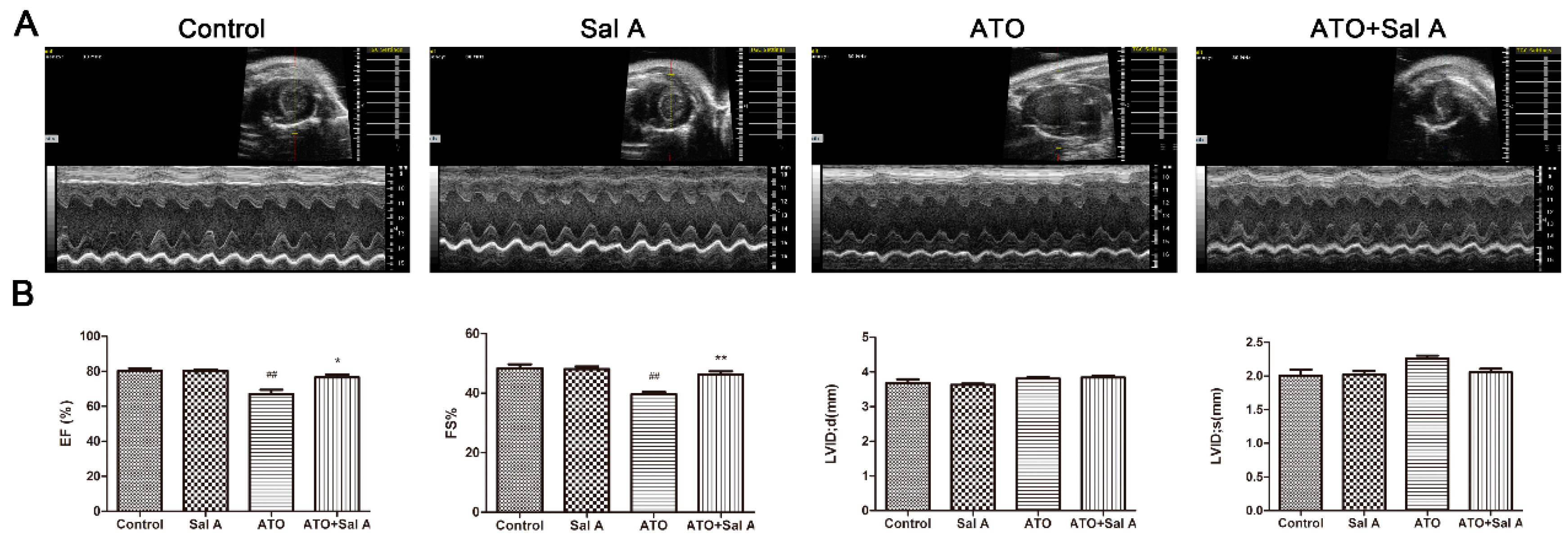 Molecules 24 00543 g002