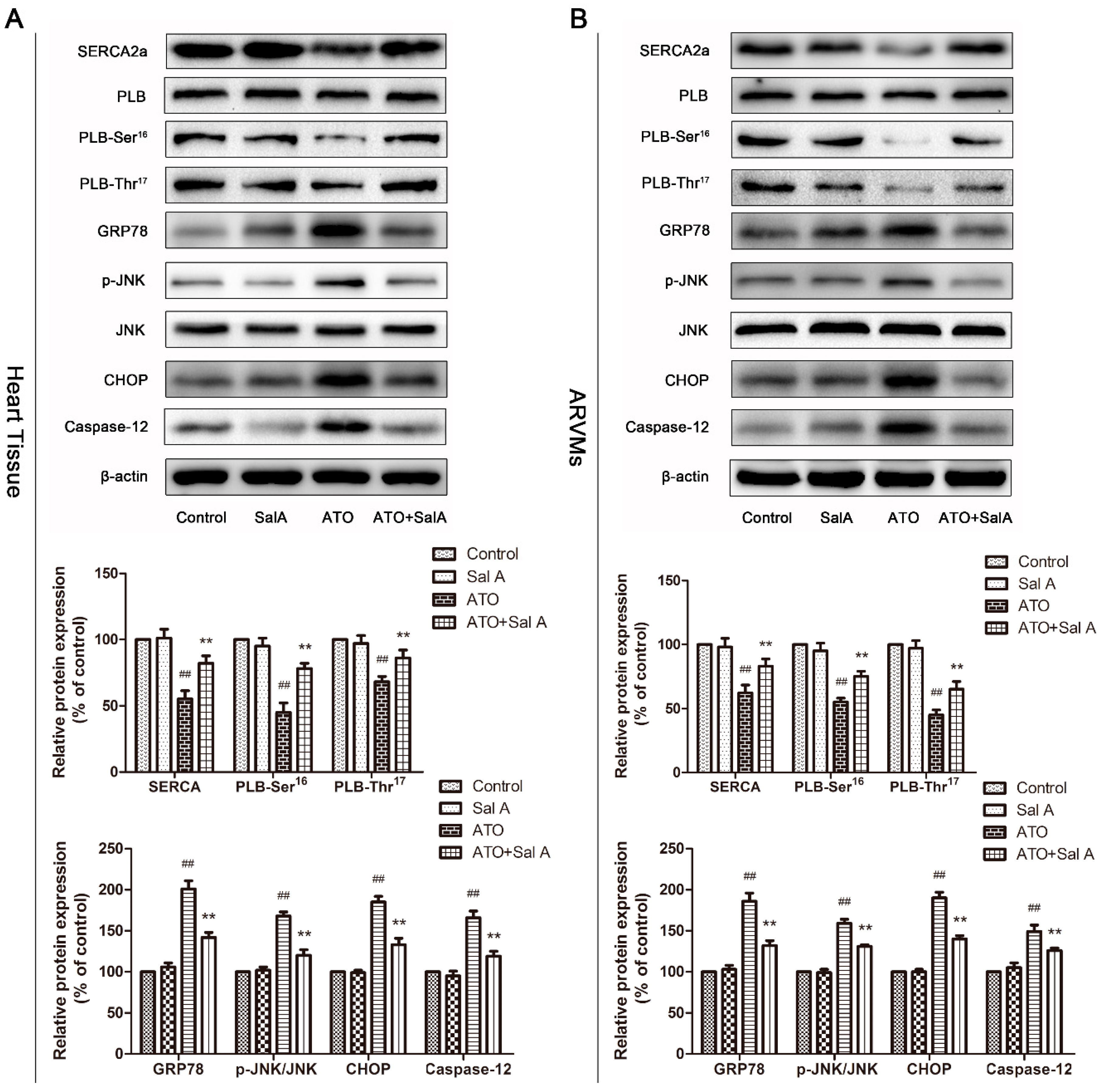 Molecules 24 00543 g007