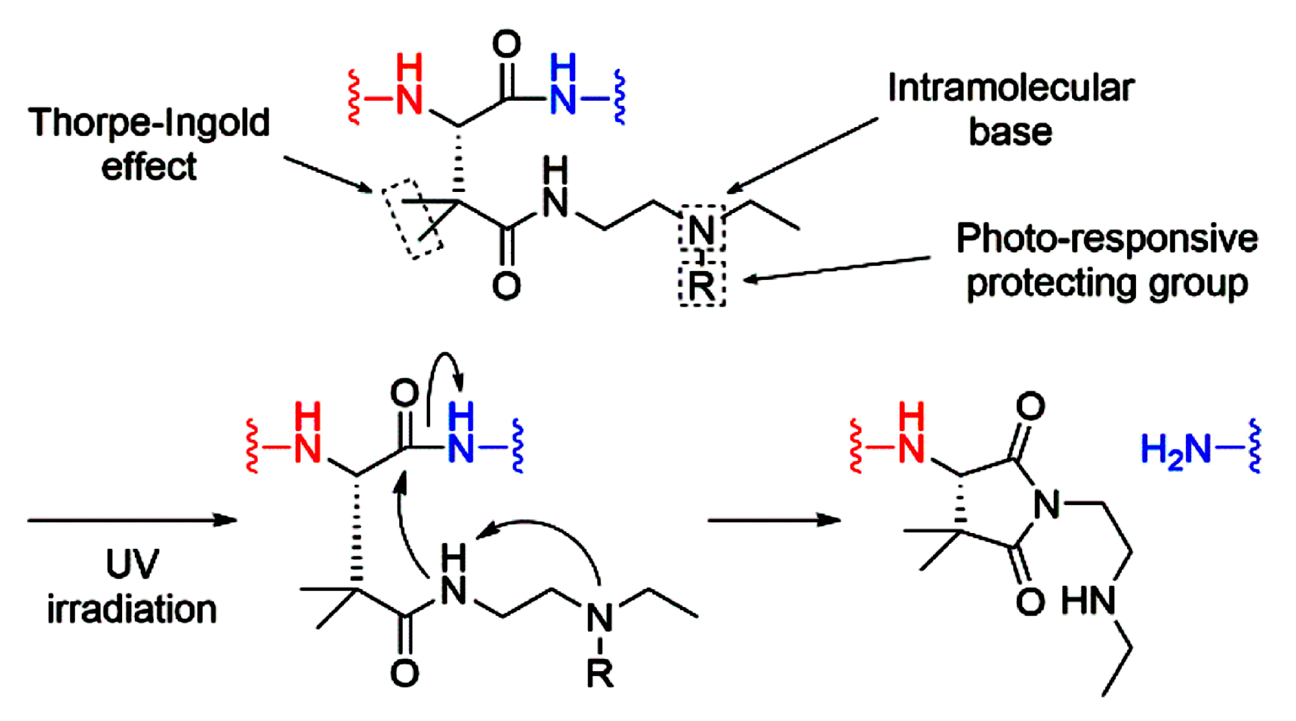 Molecules 24 00572 g011 Molecules 24 00572 g011