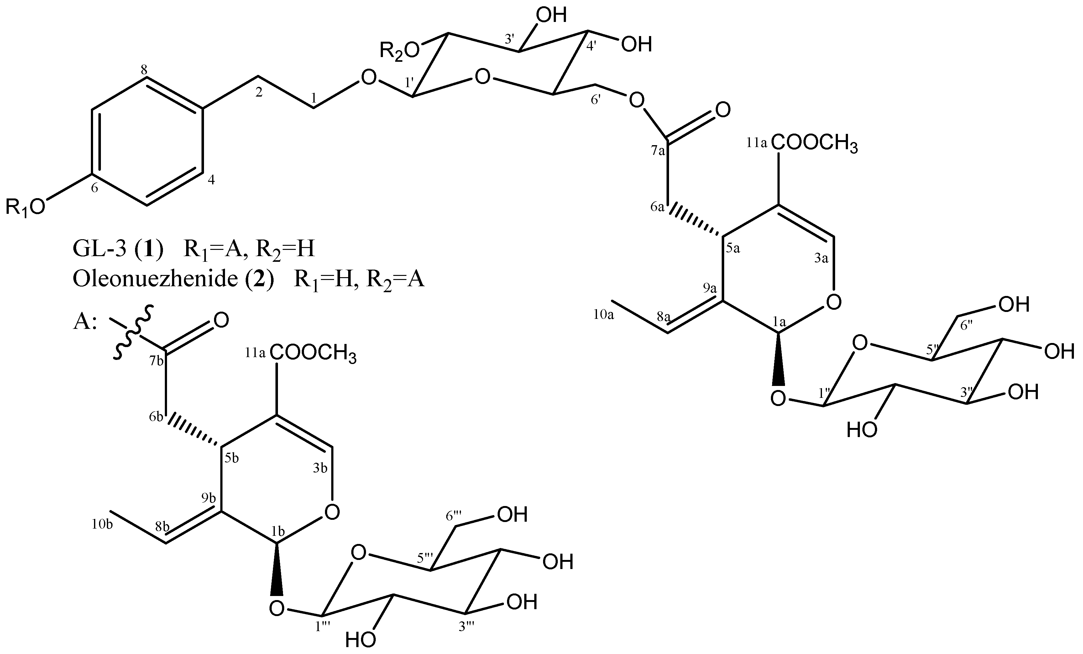 Molecules 24 00604 g001