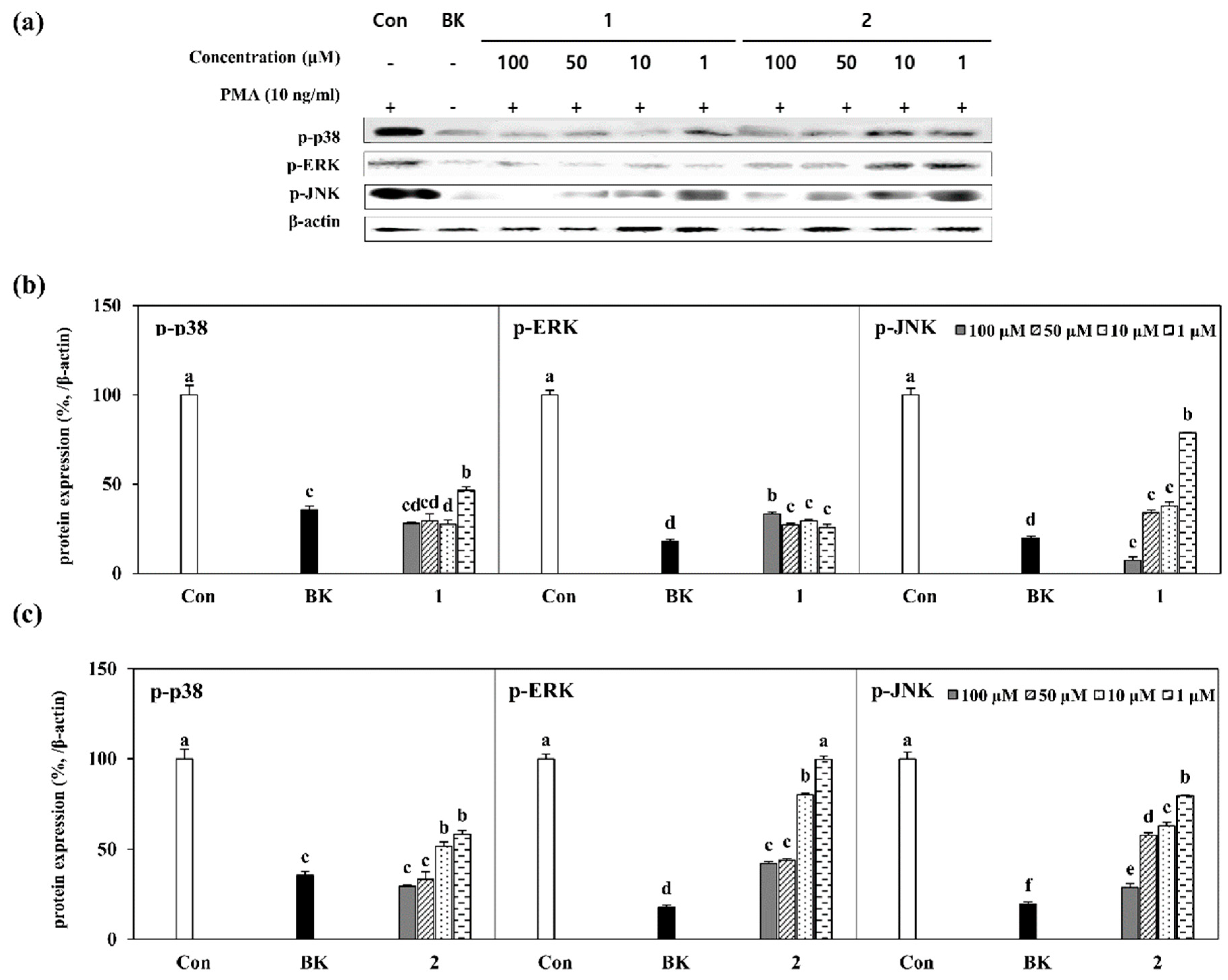 Molecules 24 00604 g005