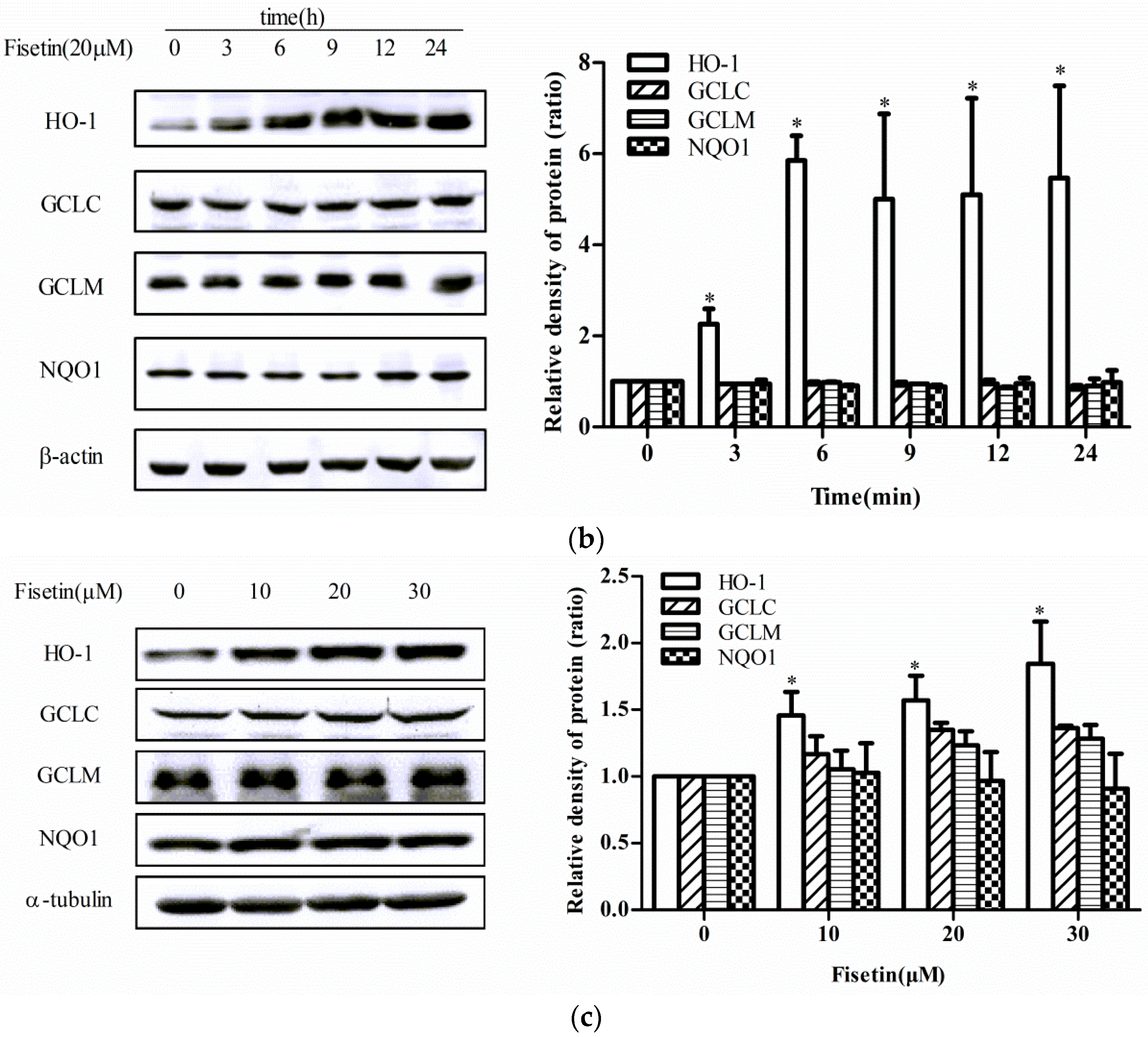 Molecules 24 00708 g002b Molecules 24 00708 g002b