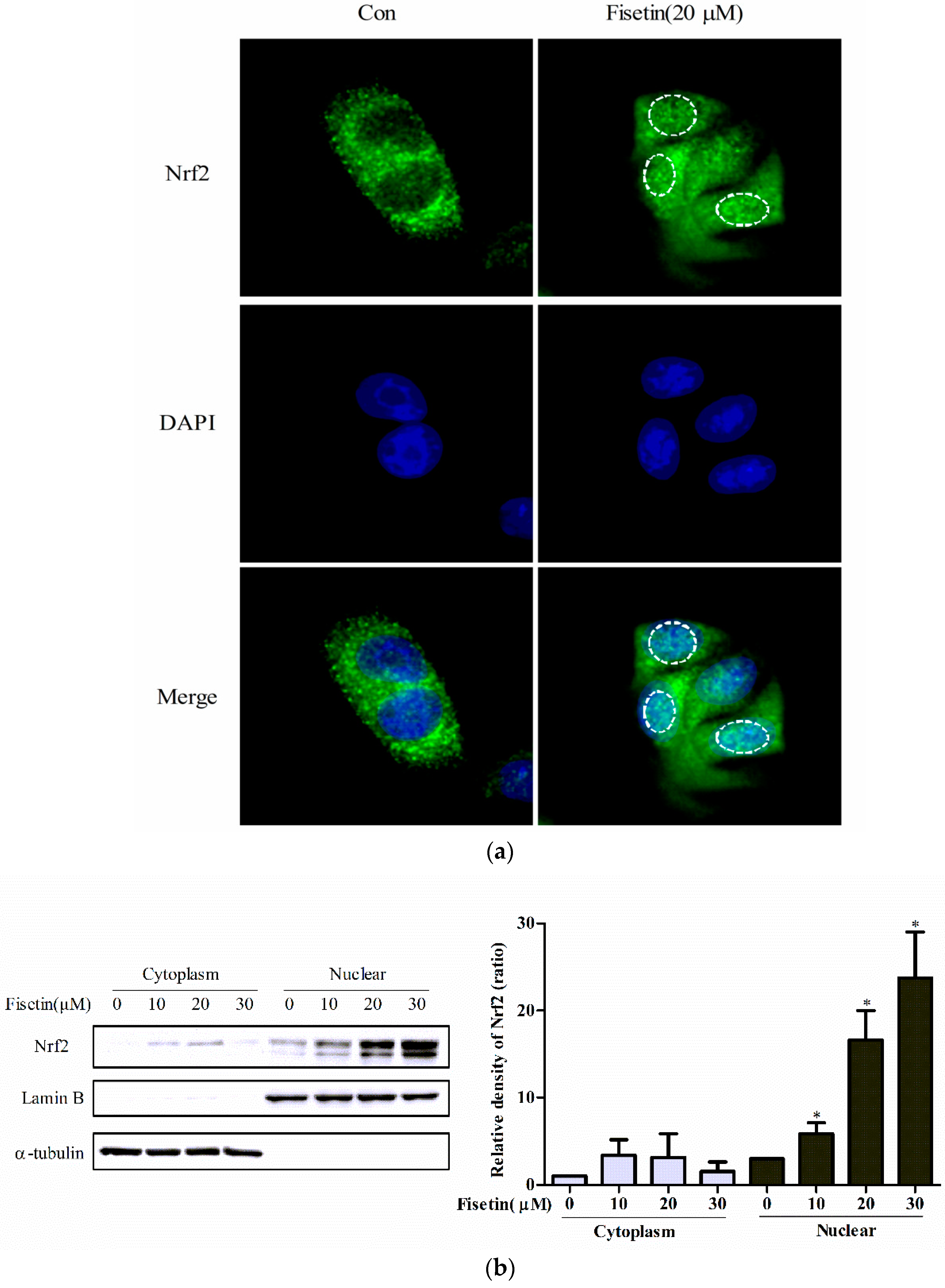 Molecules 24 00708 g003 Molecules 24 00708 g003