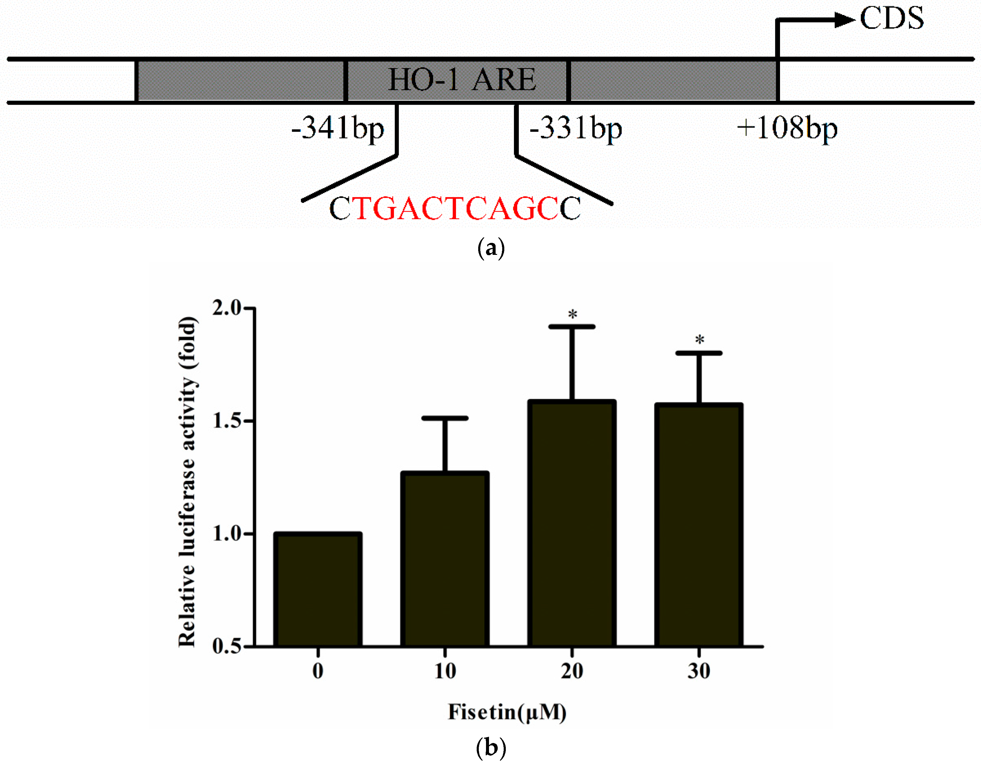 Molecules 24 00708 g004 Molecules 24 00708 g004