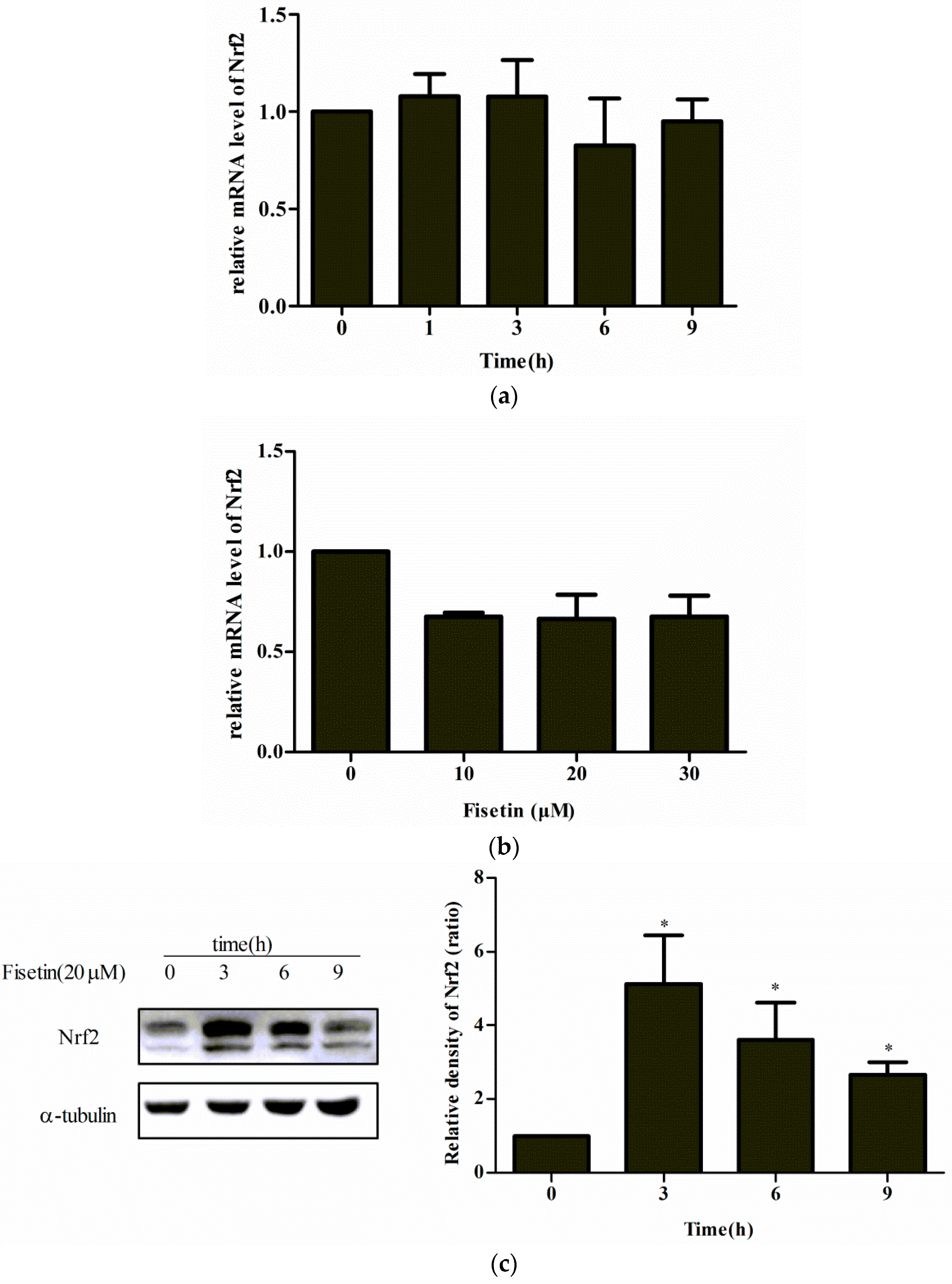 Molecules 24 00708 g005a Molecules 24 00708 g005a