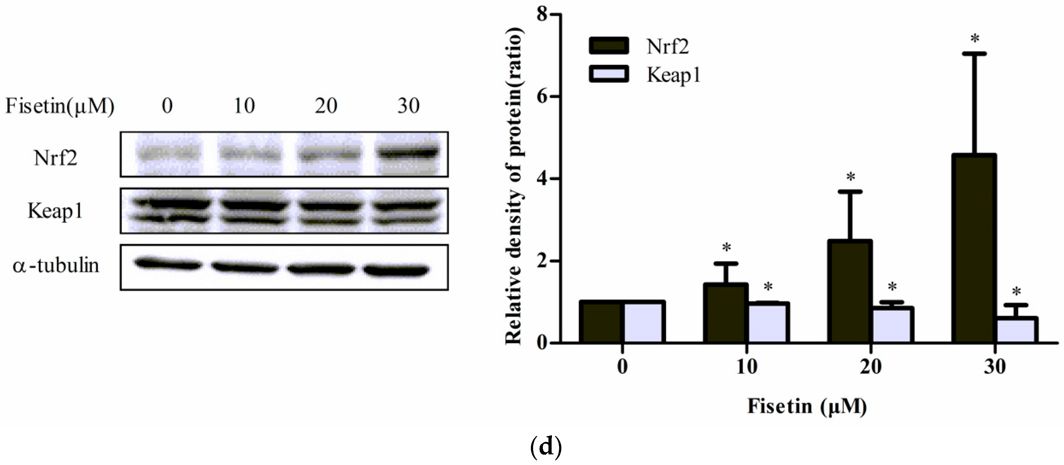 Molecules 24 00708 g005b Molecules 24 00708 g005b
