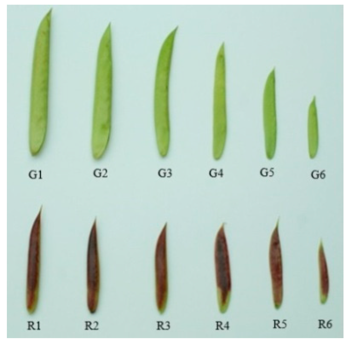Molecules 24 00717 g006