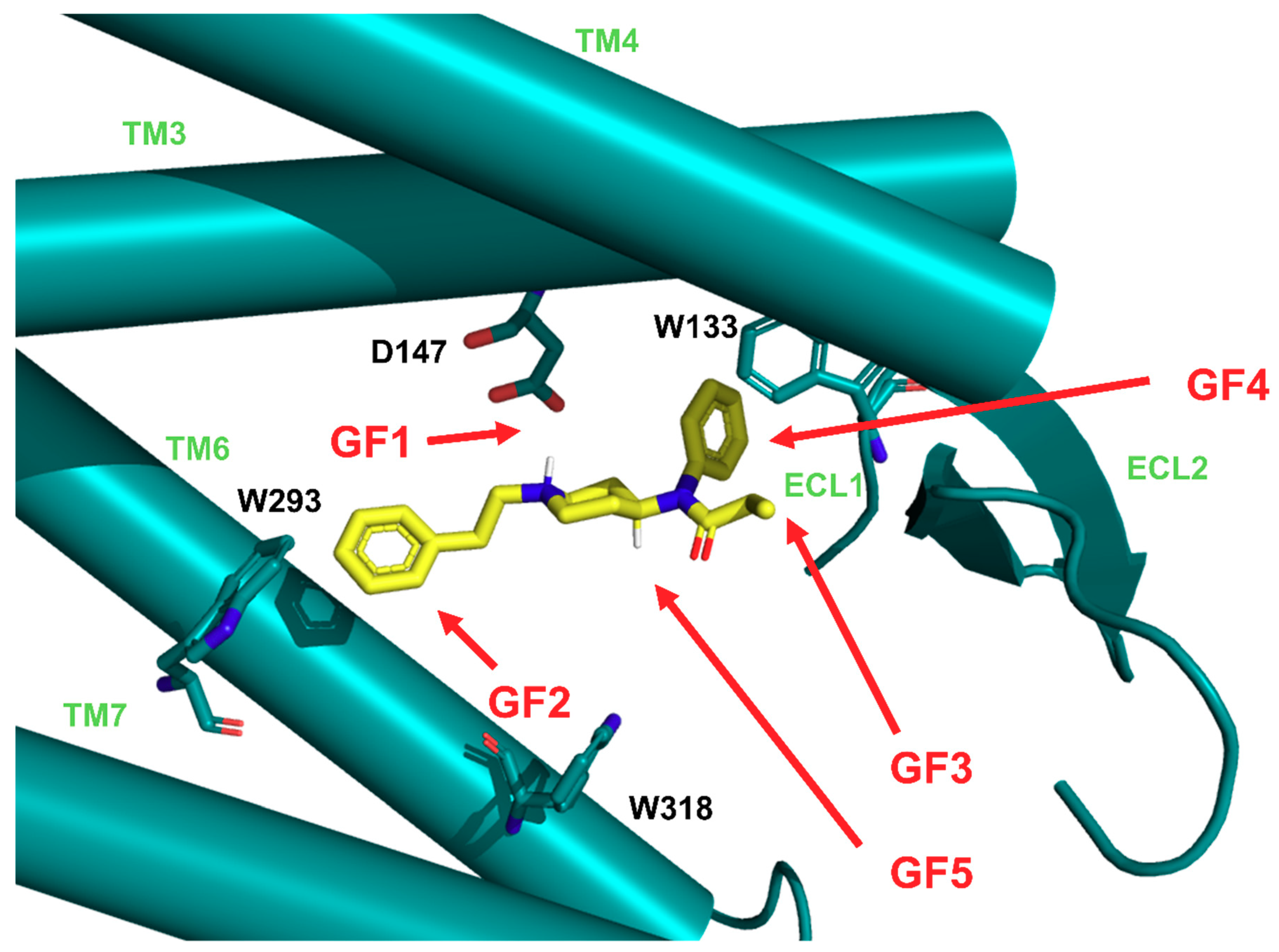 Molecules Free Full Text Fentanyl Family At The Mu Opioid Receptor Uniform Assessment Of Binding And Computational Analysis Html