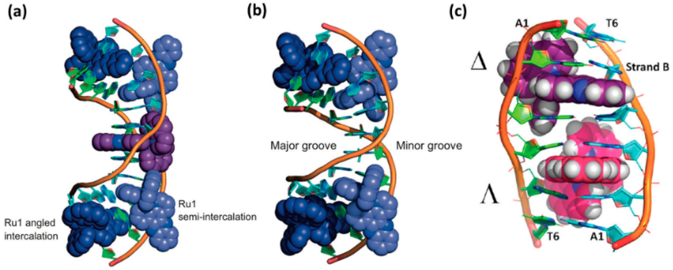 Molecules 24 00769 g005