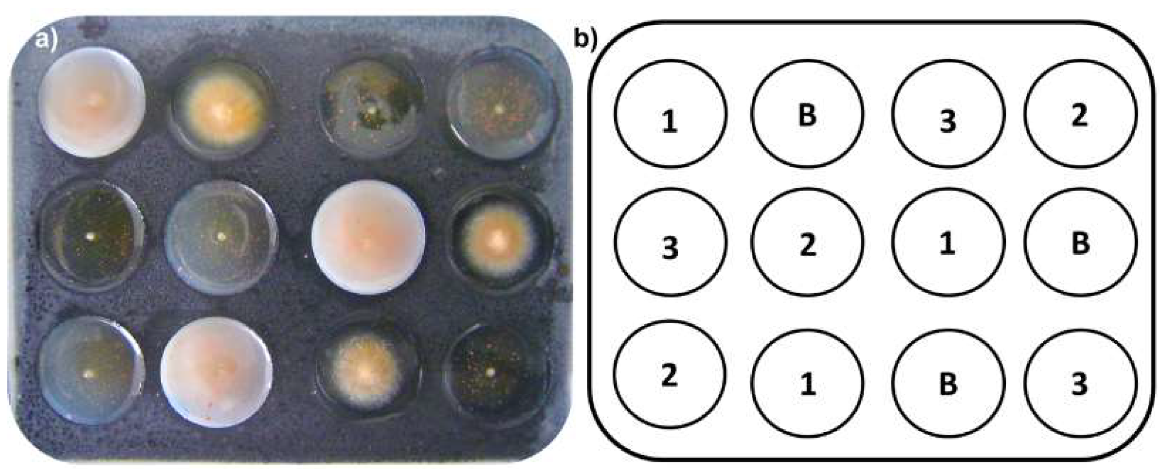 Molecules 24 00770 g004