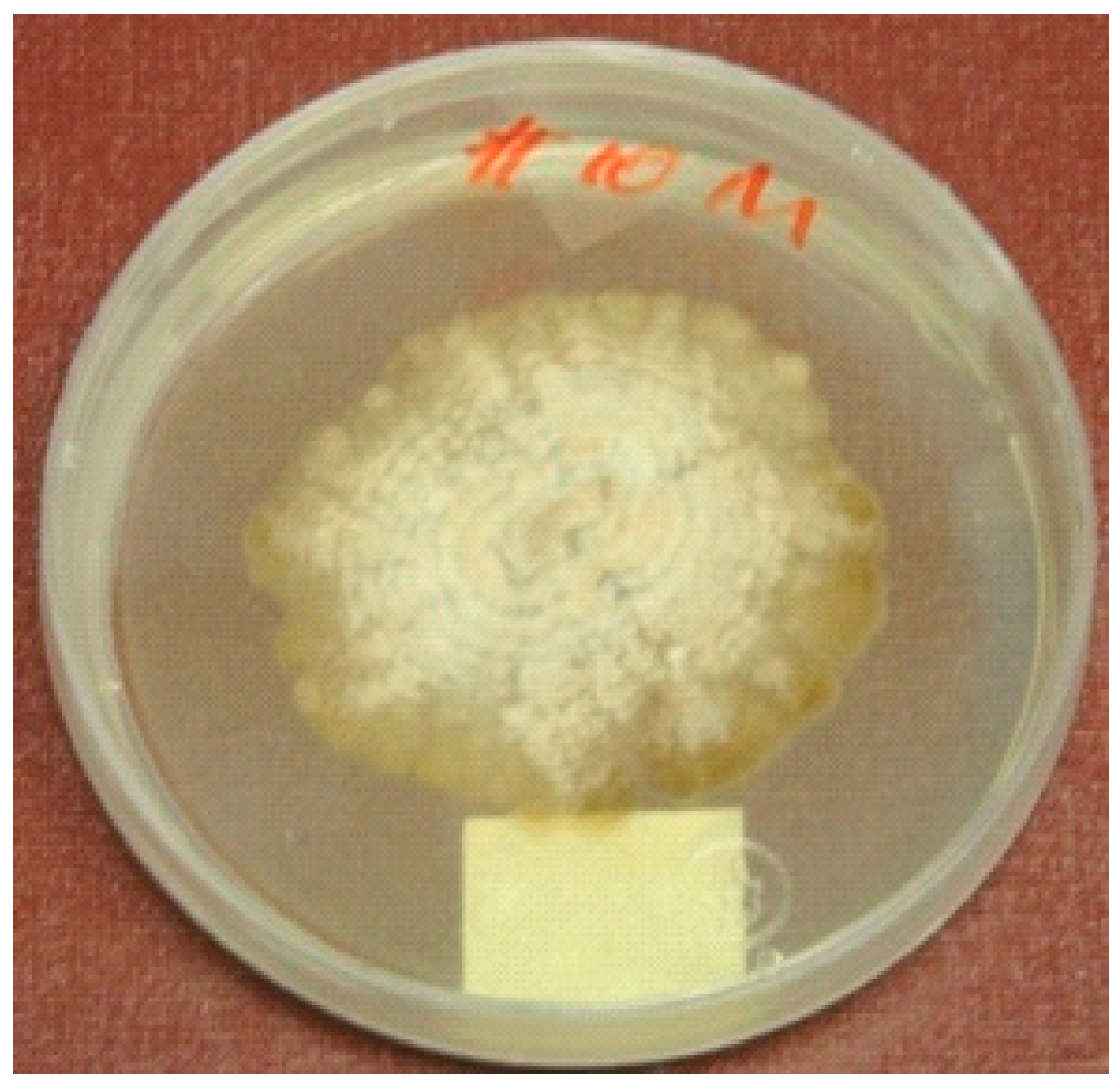 Molecules 24 00777 g002