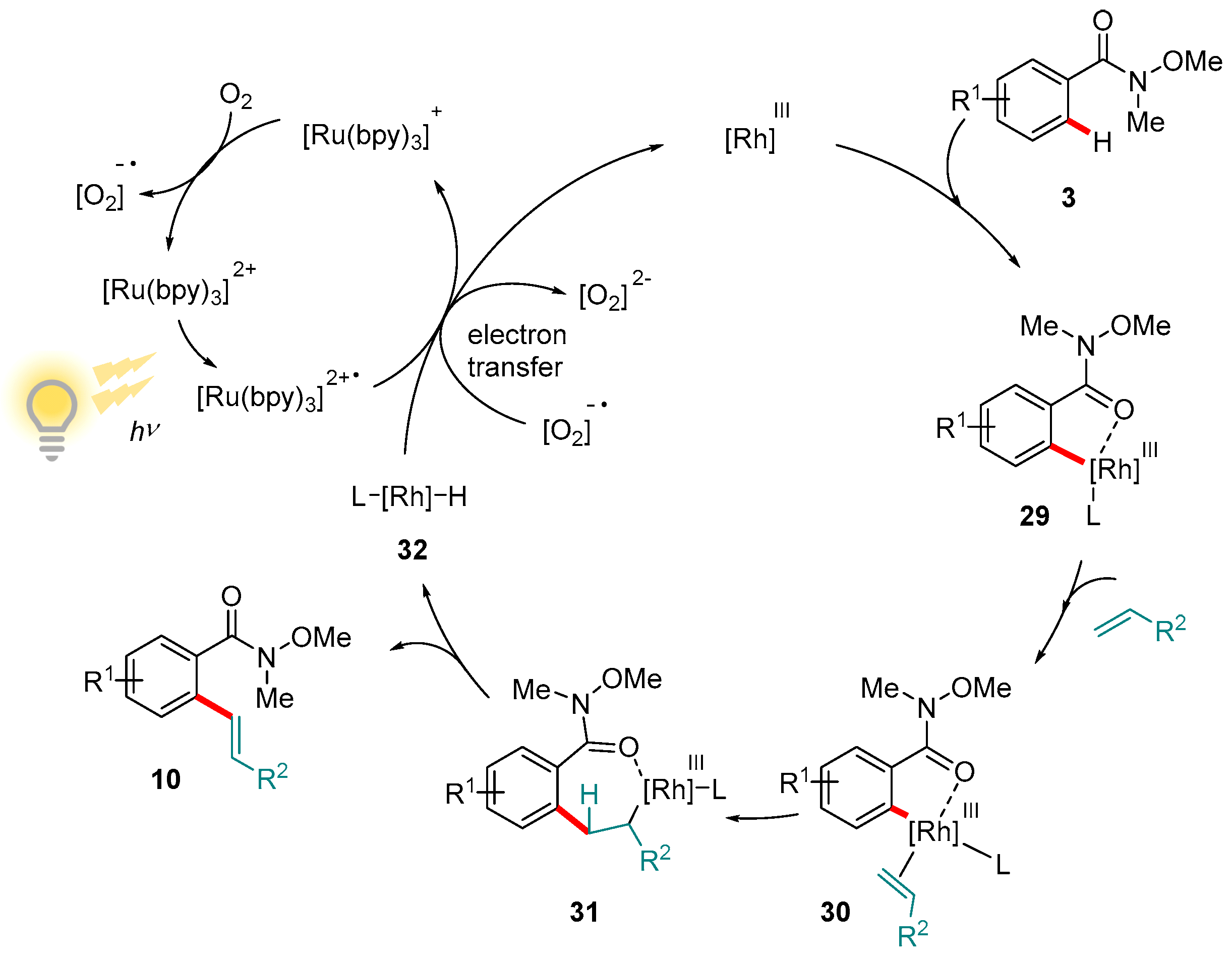 Molecules 24 00830 g007