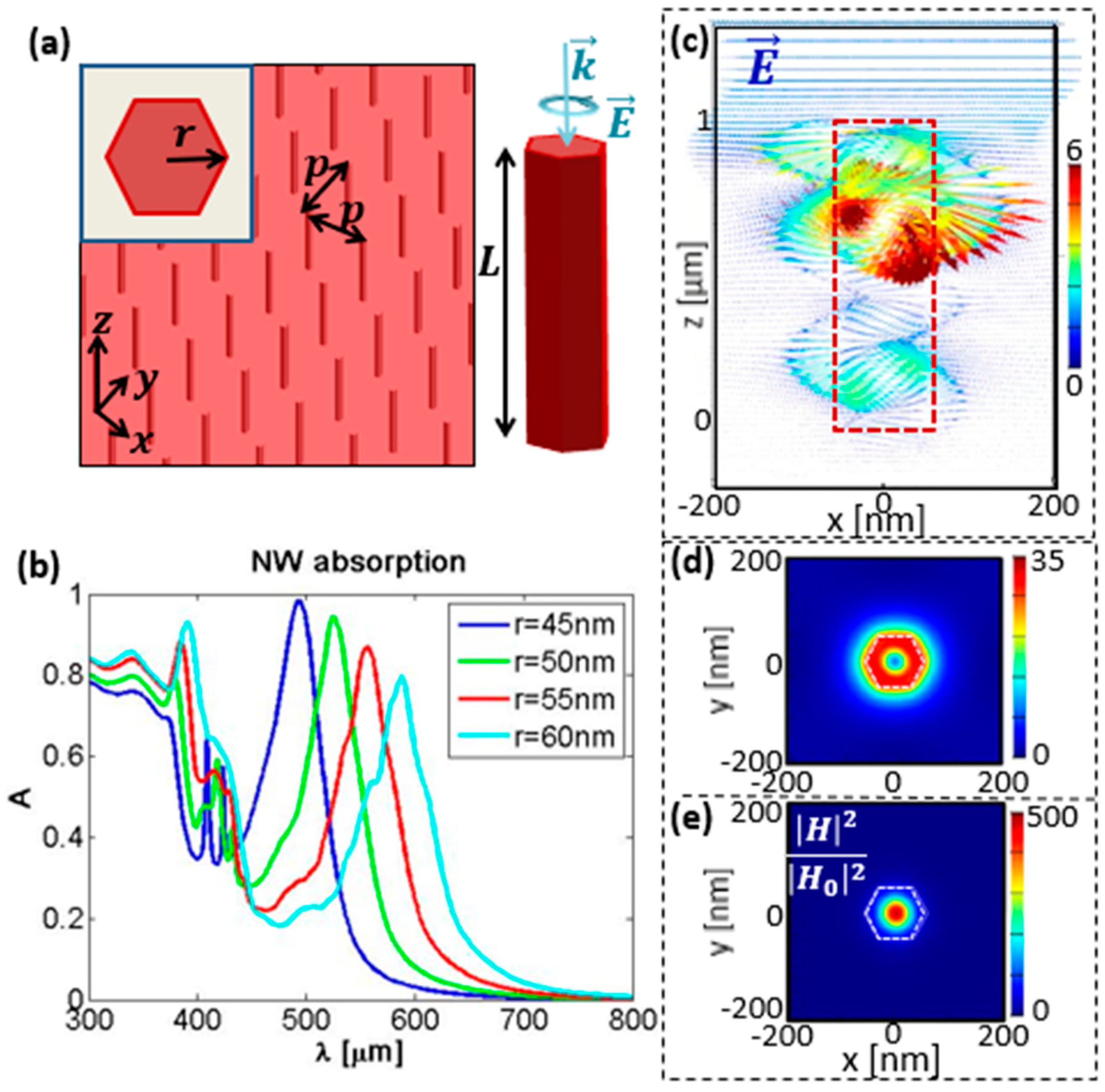 Molecules 24 00853 g001 Molecules 24 00853 g001