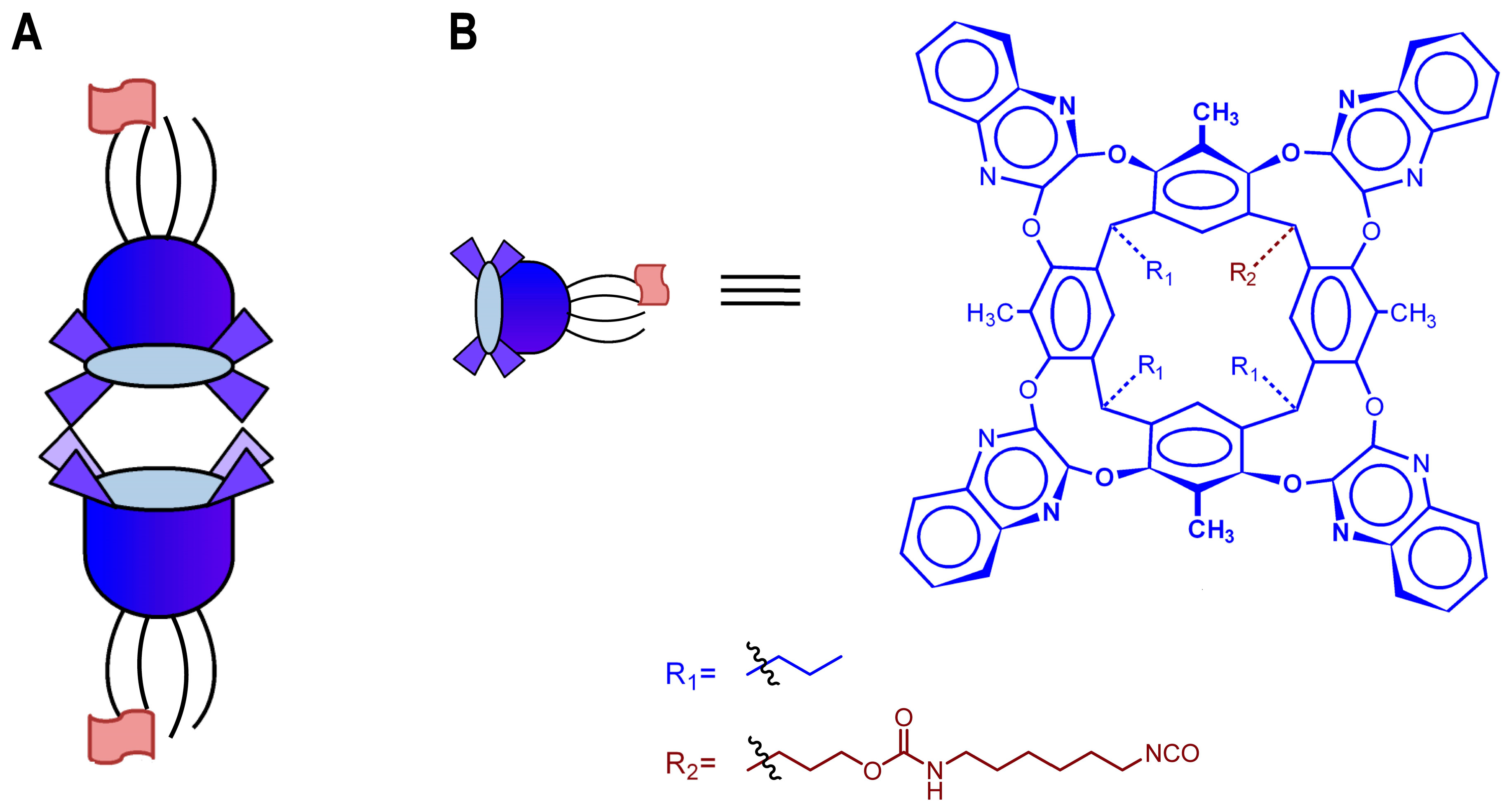 Molecules 24 00902 g001