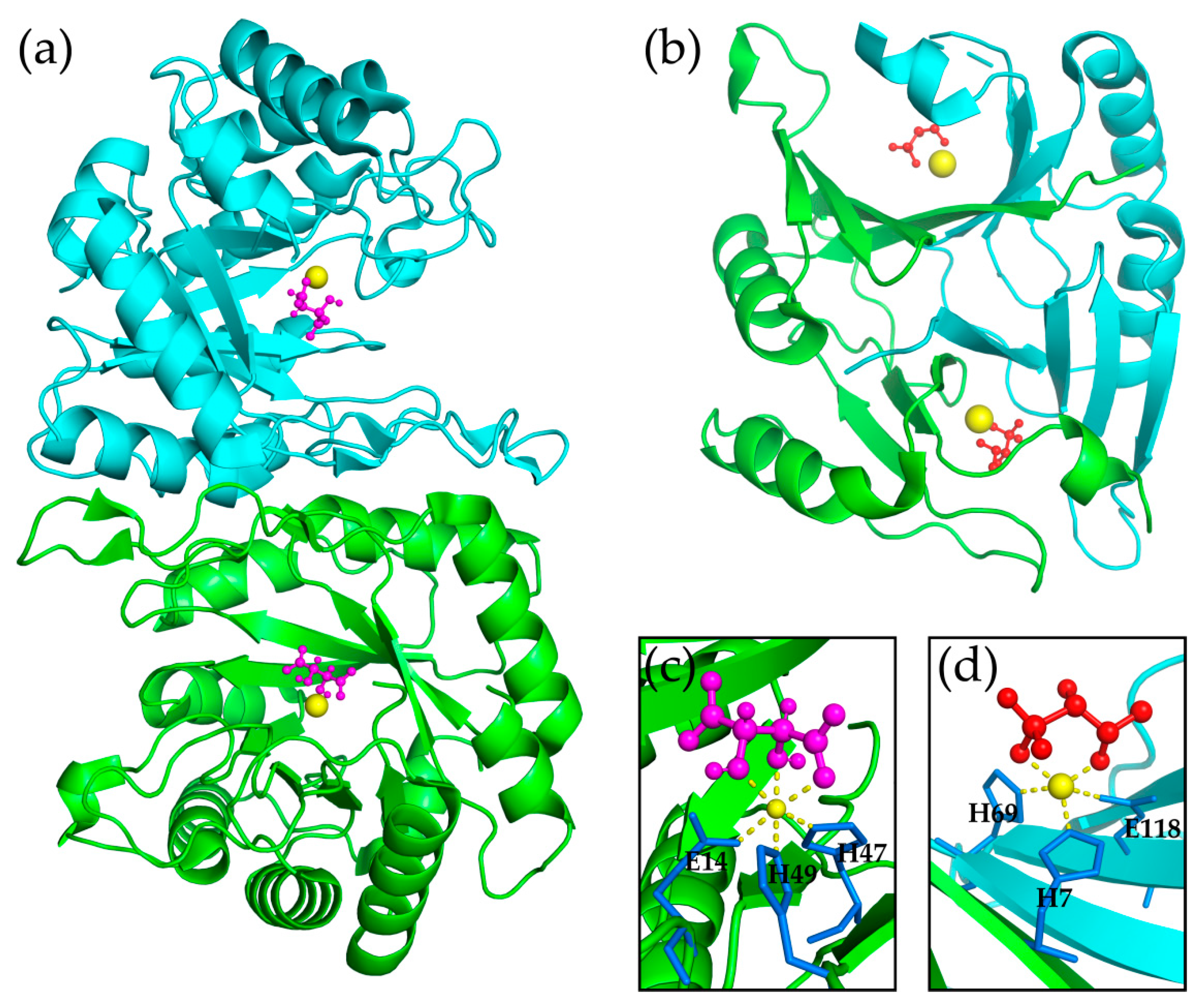 Molecules 24 00903 g001 Molecules 24 00903 g001