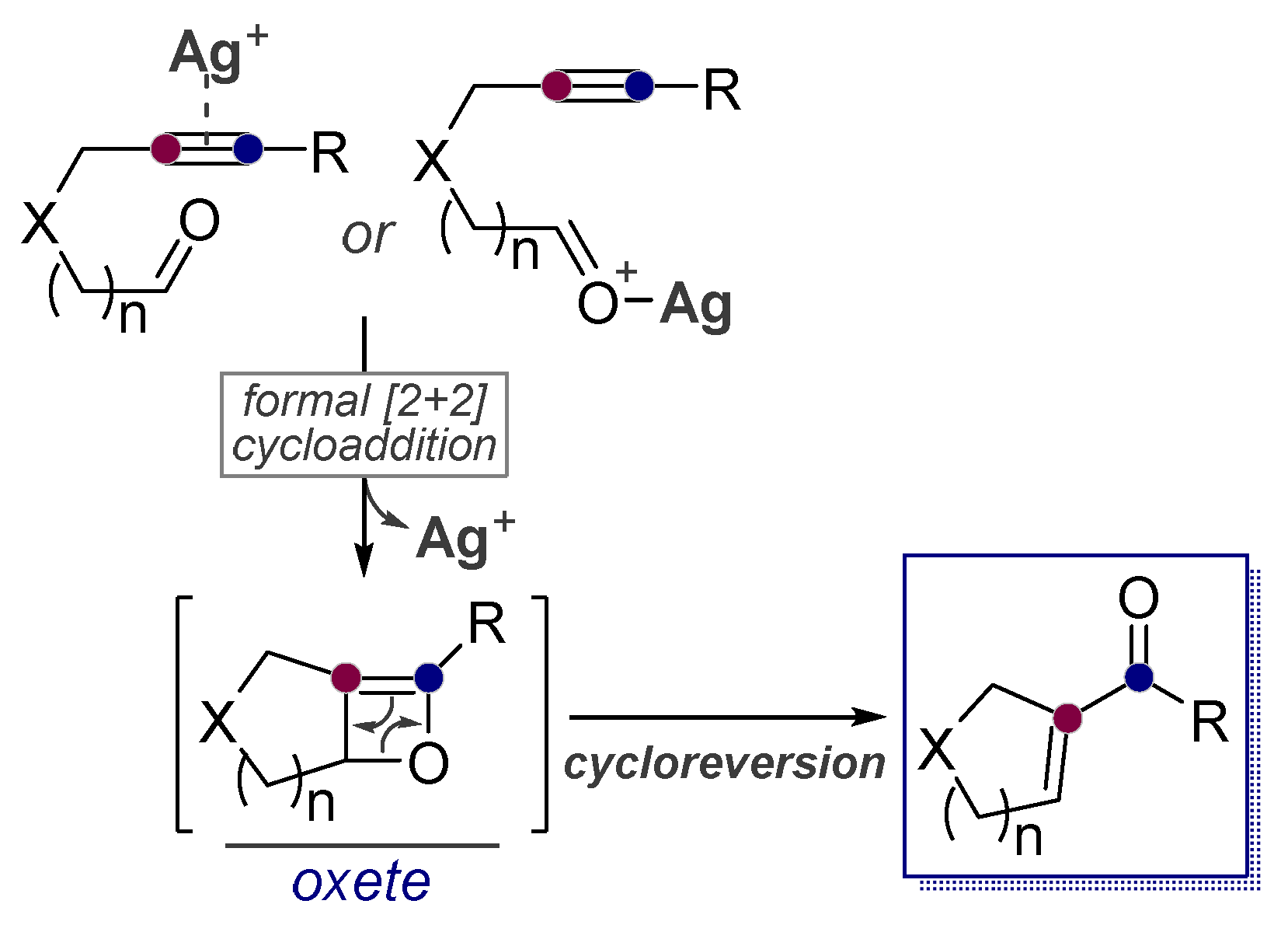 Molecules 24 01036 sch031 Molecules 24 01036 sch031