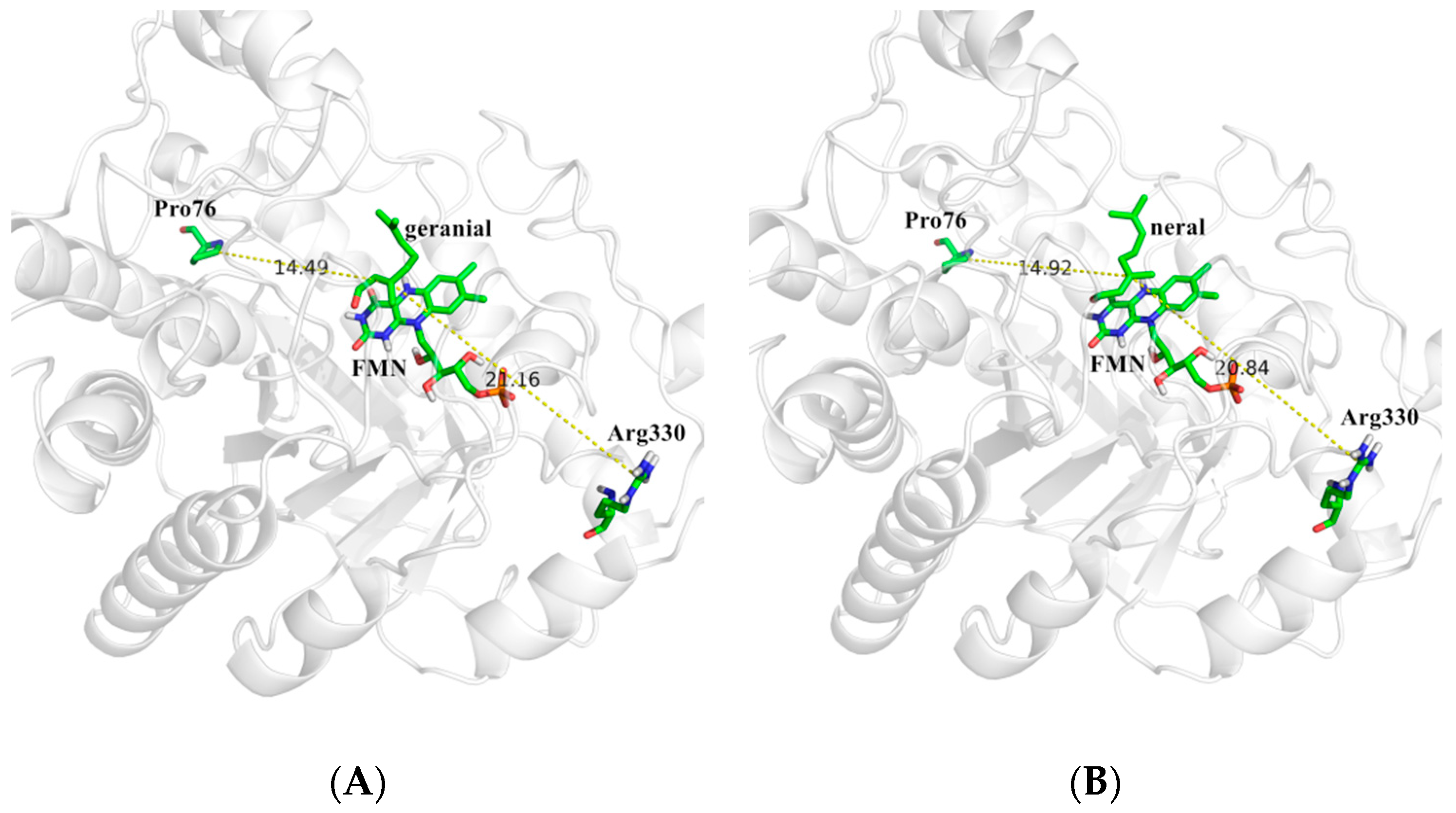 Molecules 24 01057 g003