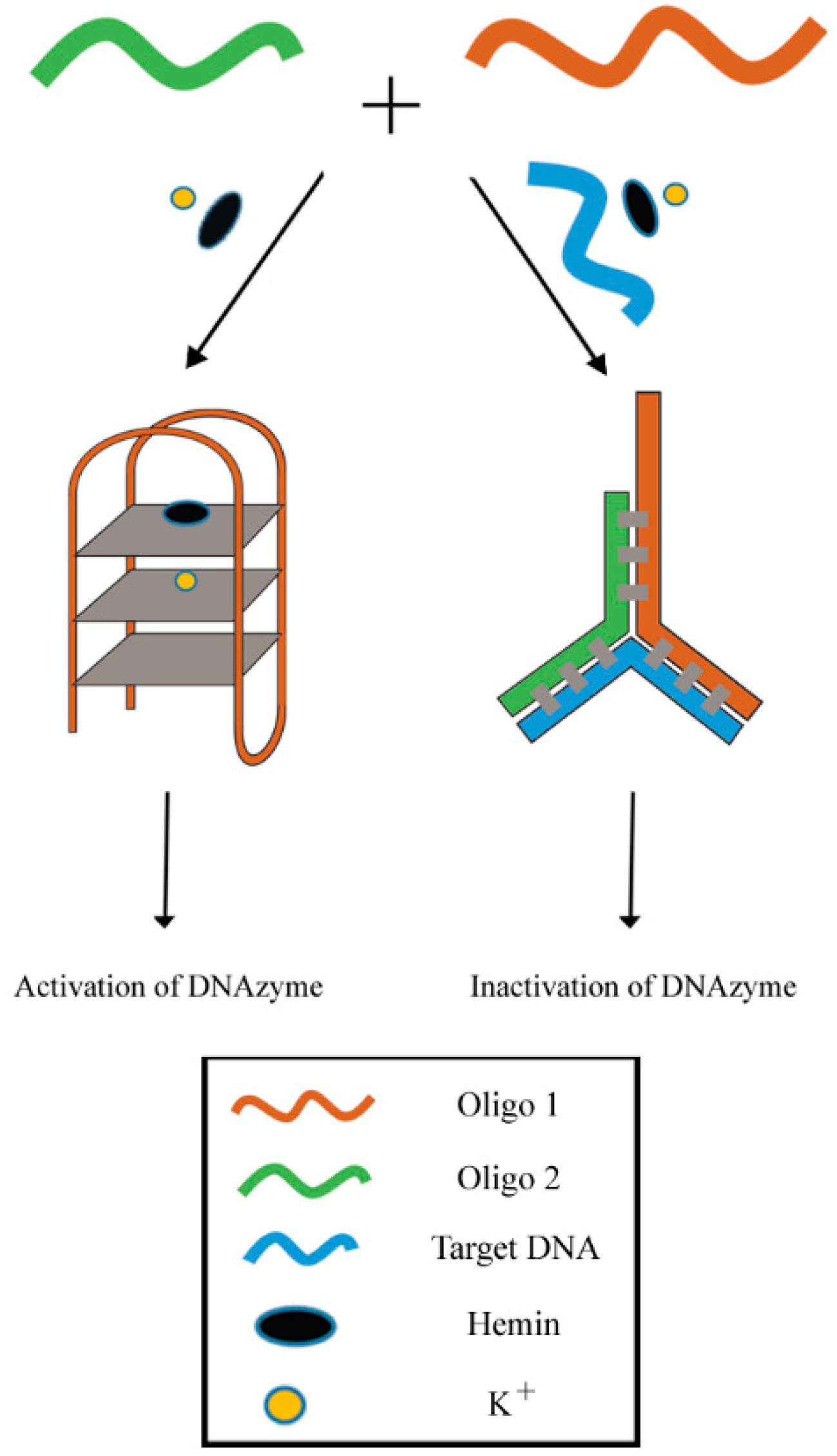Molecules 24 01079 g010