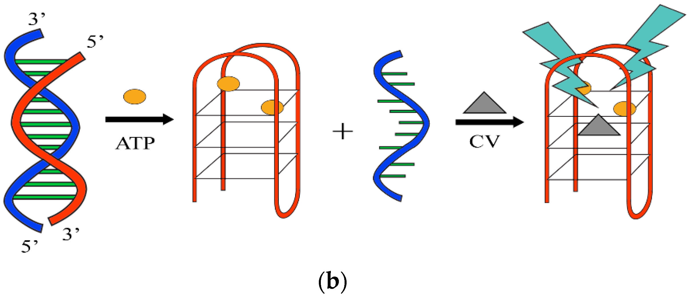 Molecules 24 01079 g017b