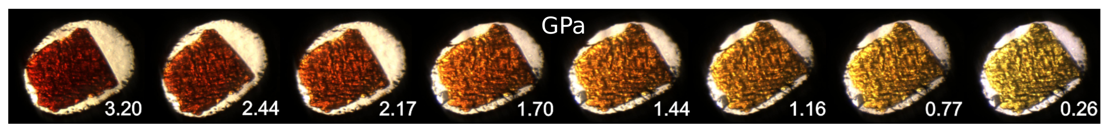Molecules 24 01107 g008