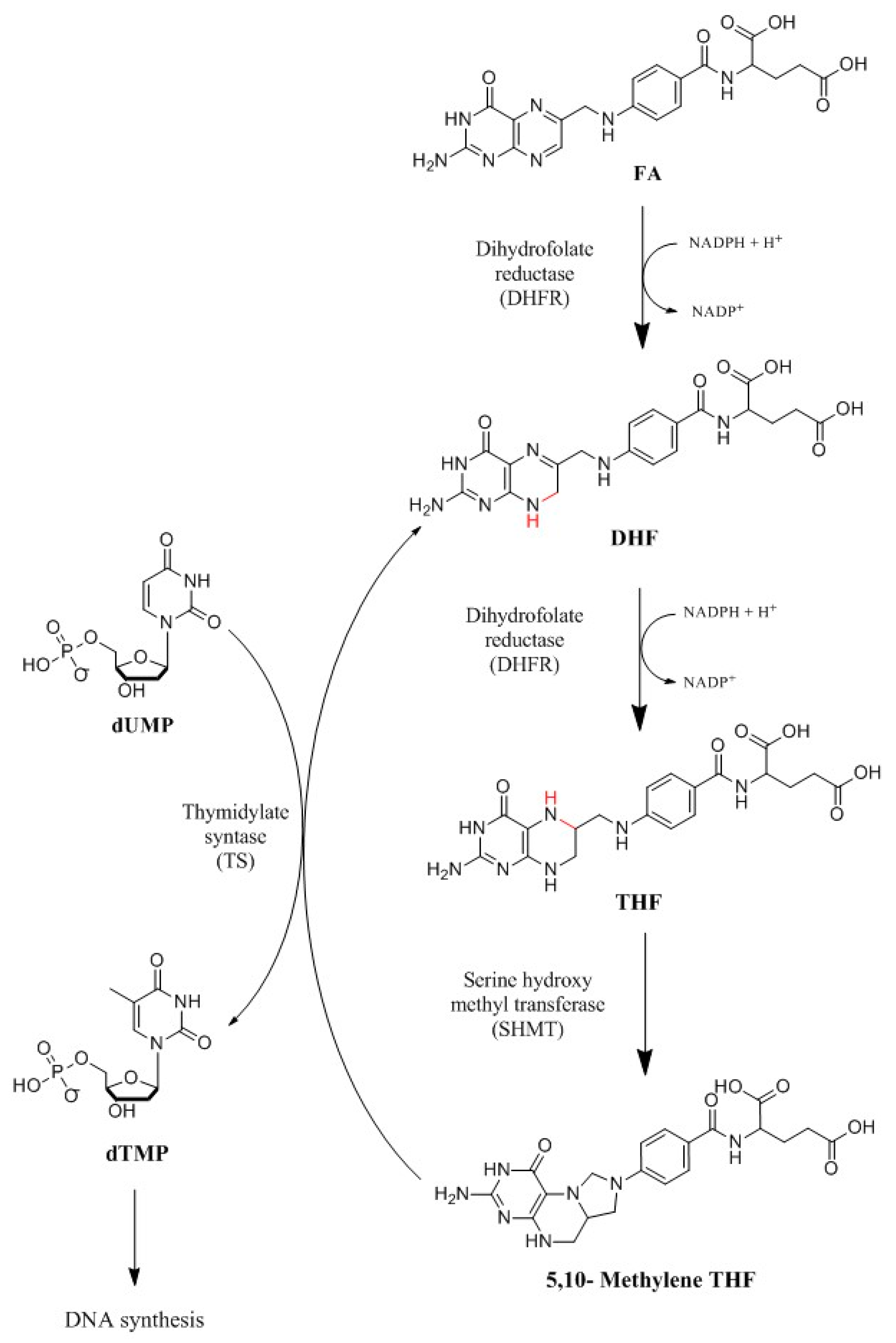 Molecules 24 01140 g002 Molecules 24 01140 g002