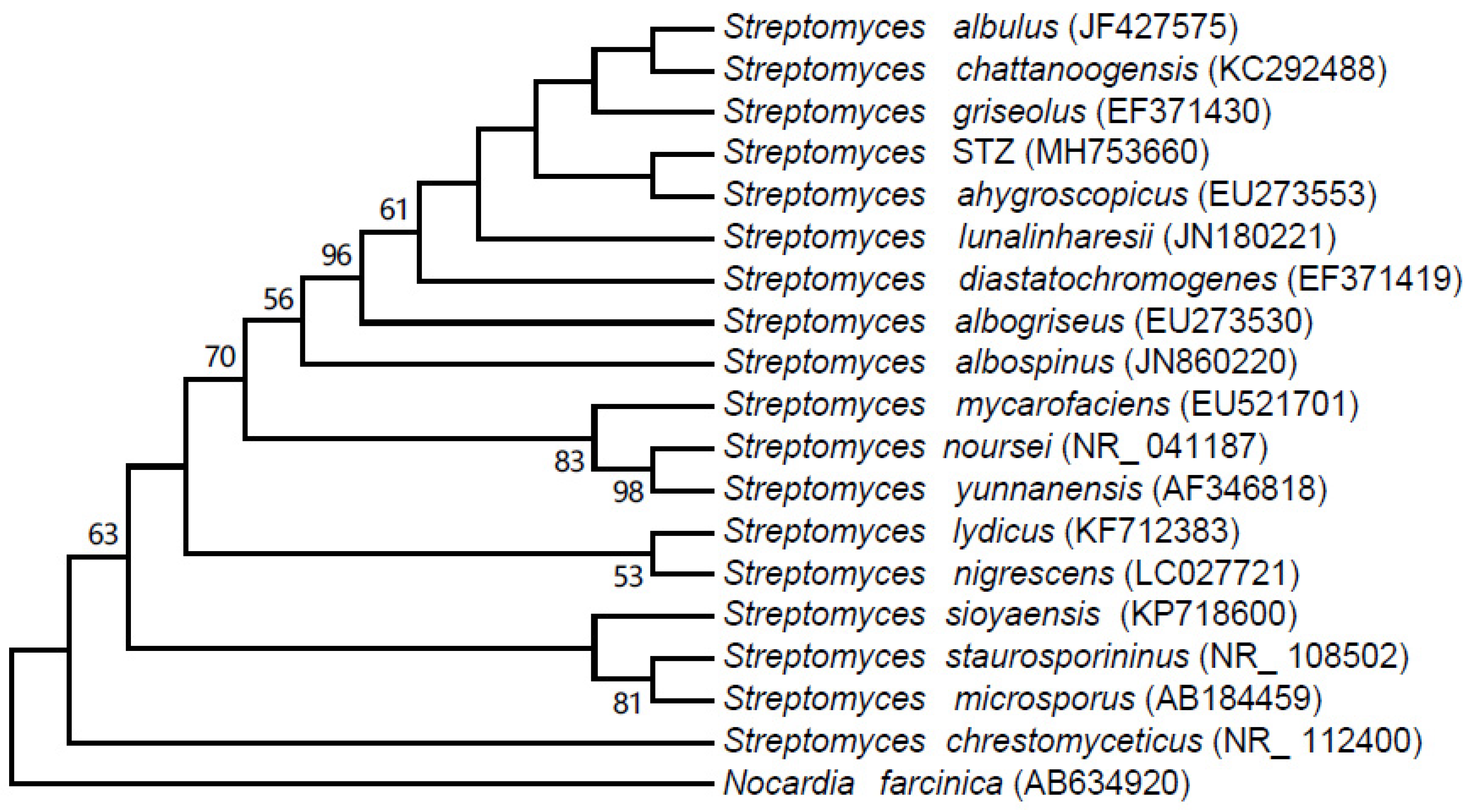 Molecules 24 01156 g002
