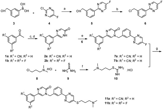 Molecules Free Full Text Synthesis Evaluation And Mechanism Study Of New Tepotinib Derivatives As Antiproliferative Agents Html