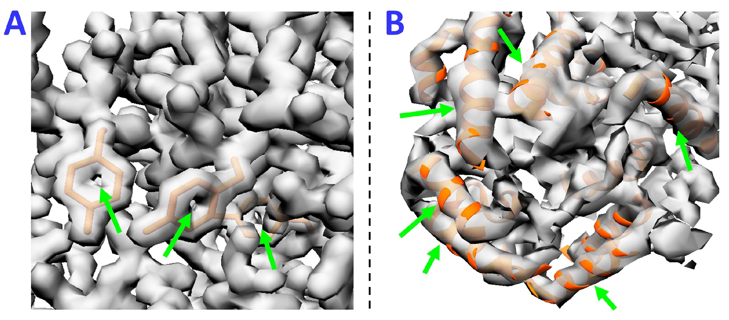 Molecules Free Full Text Deep Learning For Validating And Estimating Resolution Of Cryo Electron Microscopy Density Maps Html