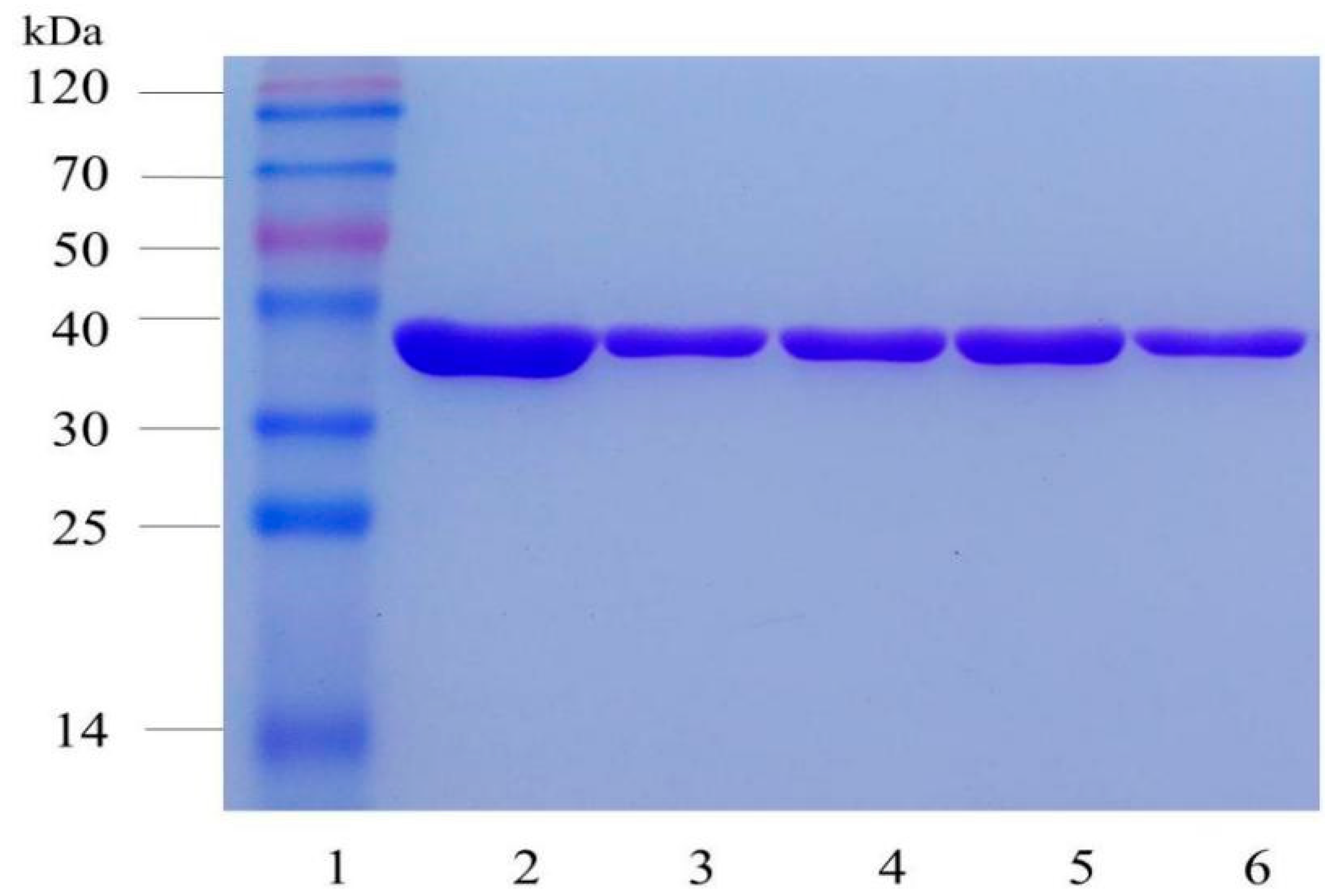Molecules 24 01194 g002