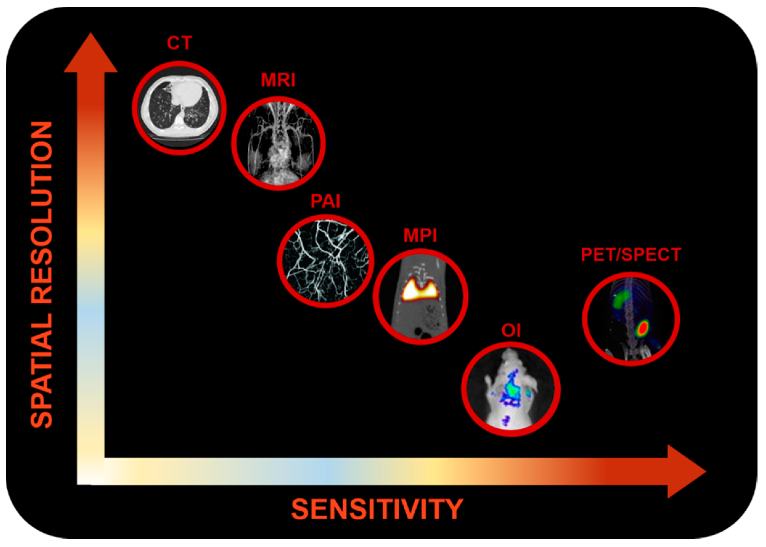 Molecules 24 01224 g001