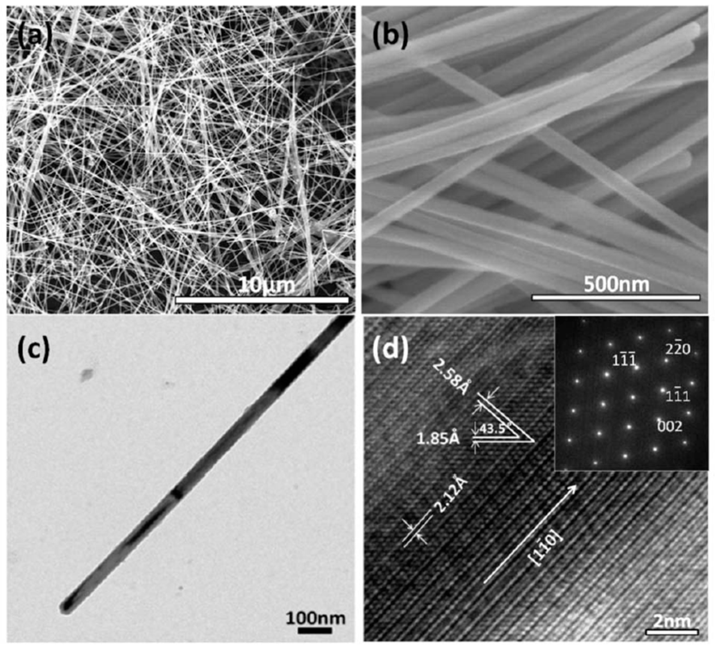 Molecules 24 01224 g004